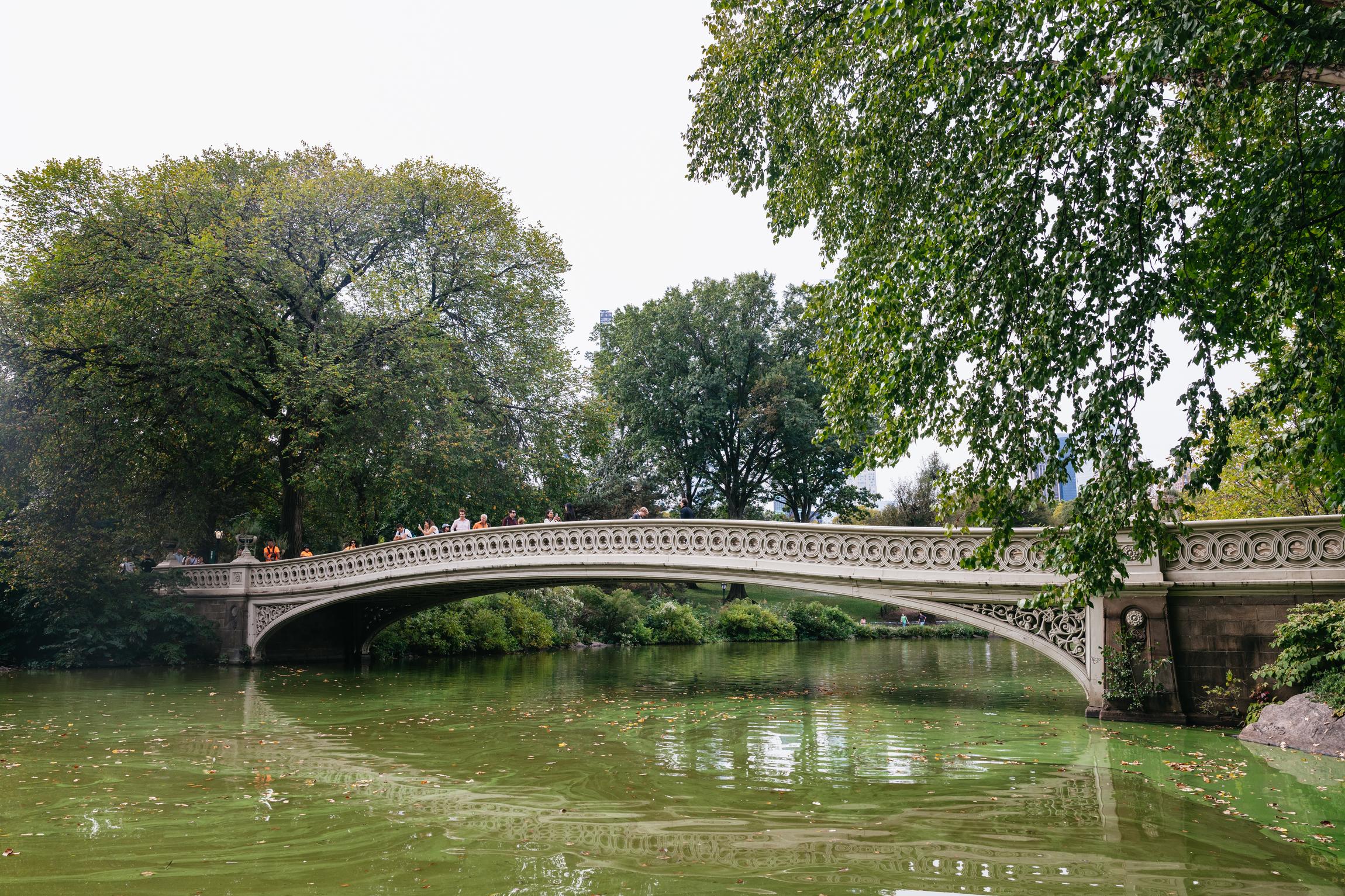Central Park Private Pedicab Tour with Photographer