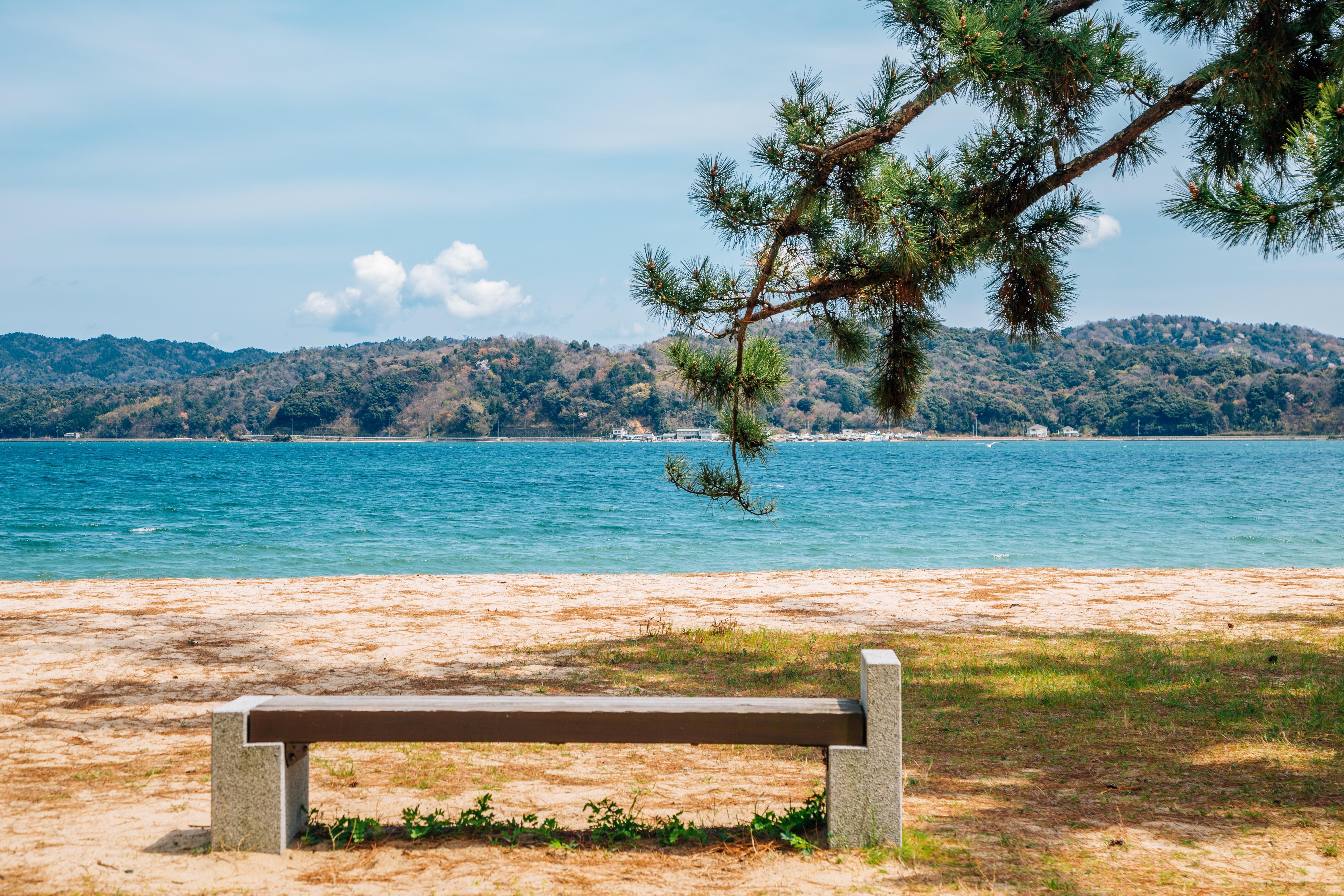 Ine Bay and Amanohashidate Scenic Day Tour from Kyoto or Osaka