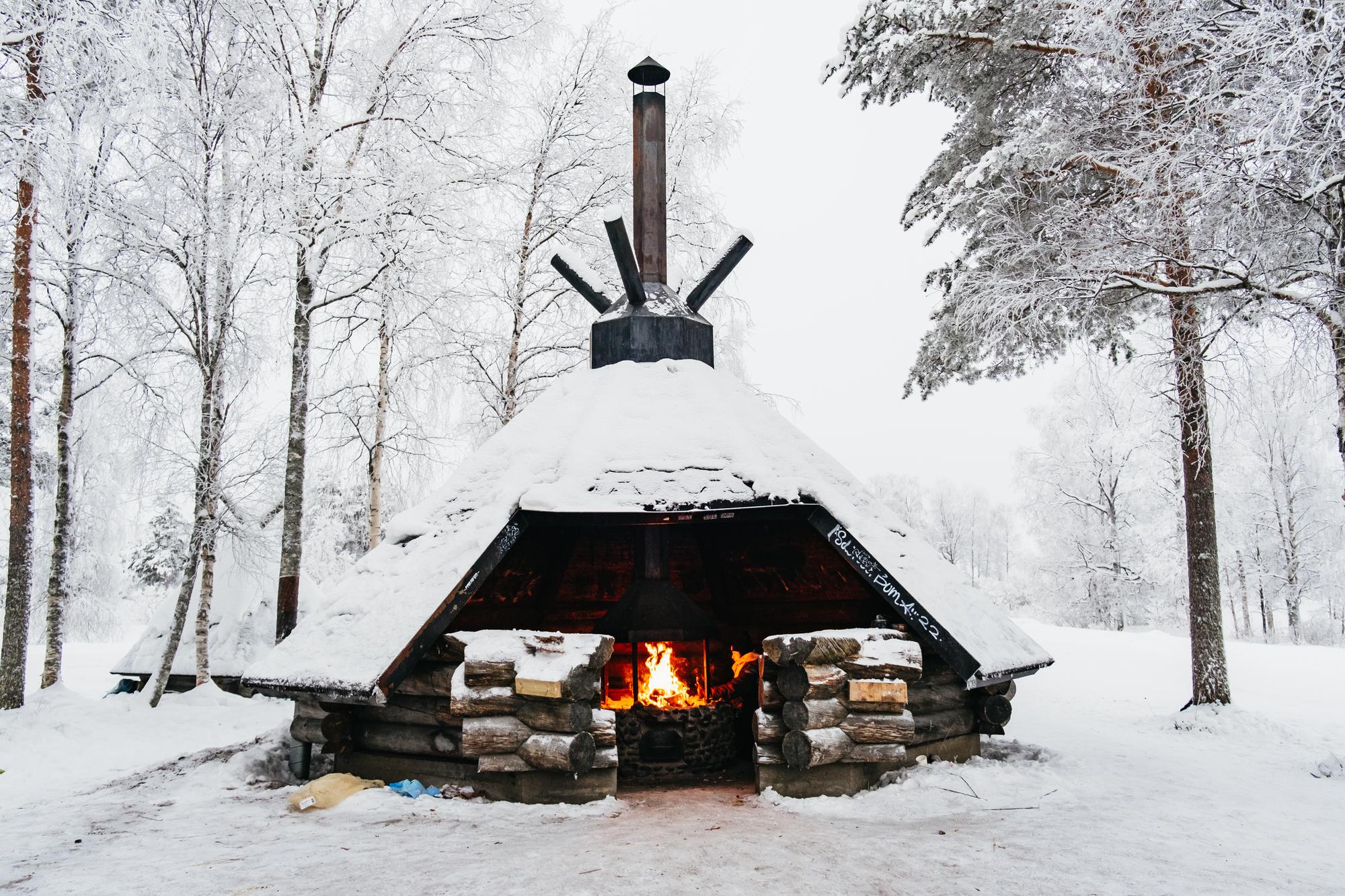 Rovaniemi Snowmobile Safari & Arctic Wildlife Day Tour