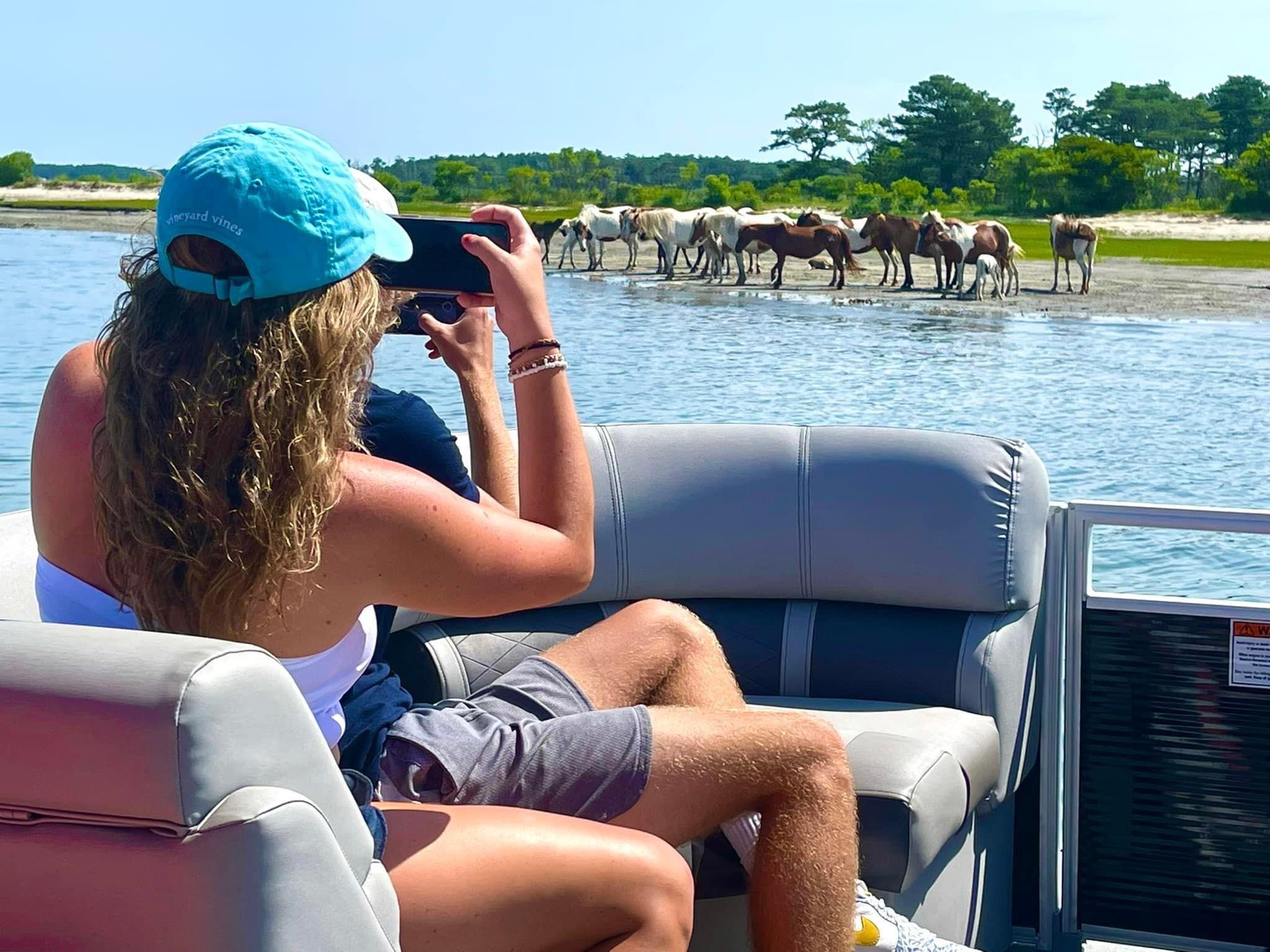 Chincoteague & Assateague Wildlife Boat Tour