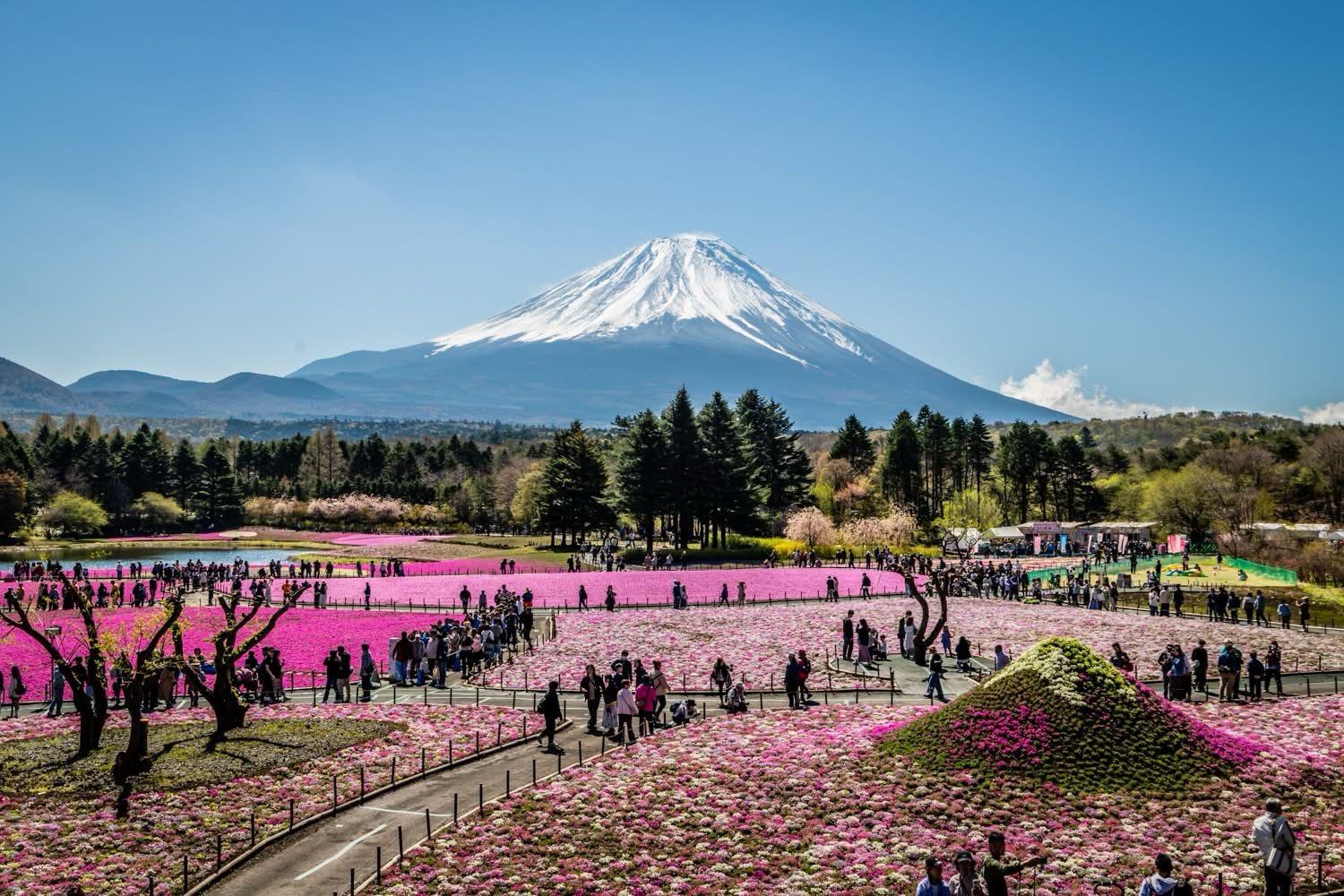 Tokyo to Mt. Fuji Private Luxury Day Tour with Hotel Pickup
