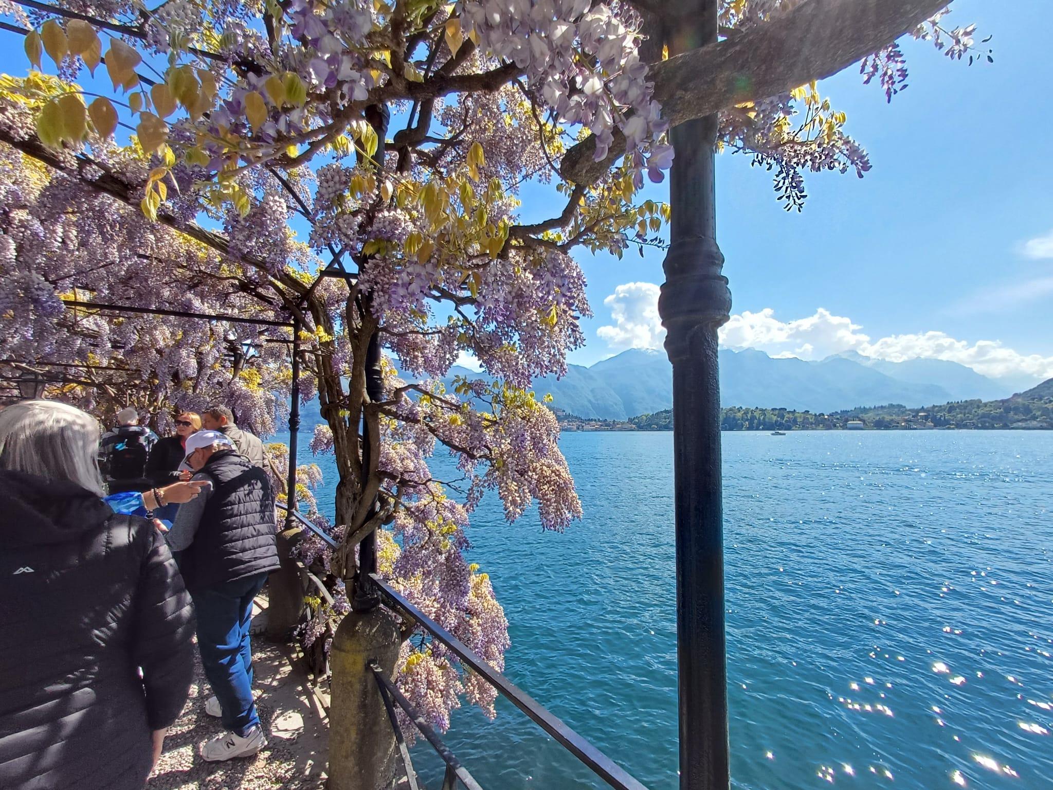 Milan to Lake Como, Bellagio & Lugano Day Tour with Lake Cruise