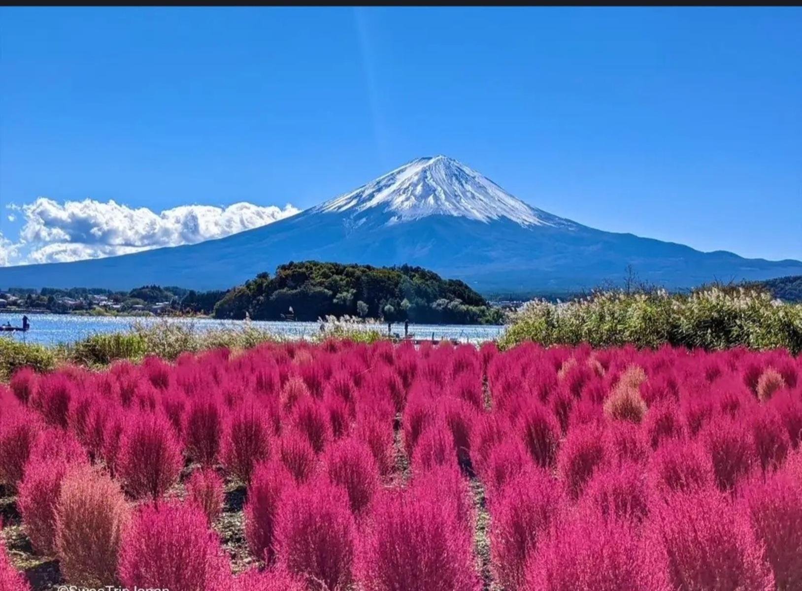 Tokyo to Mt. Fuji & Hakone Private Day Tour