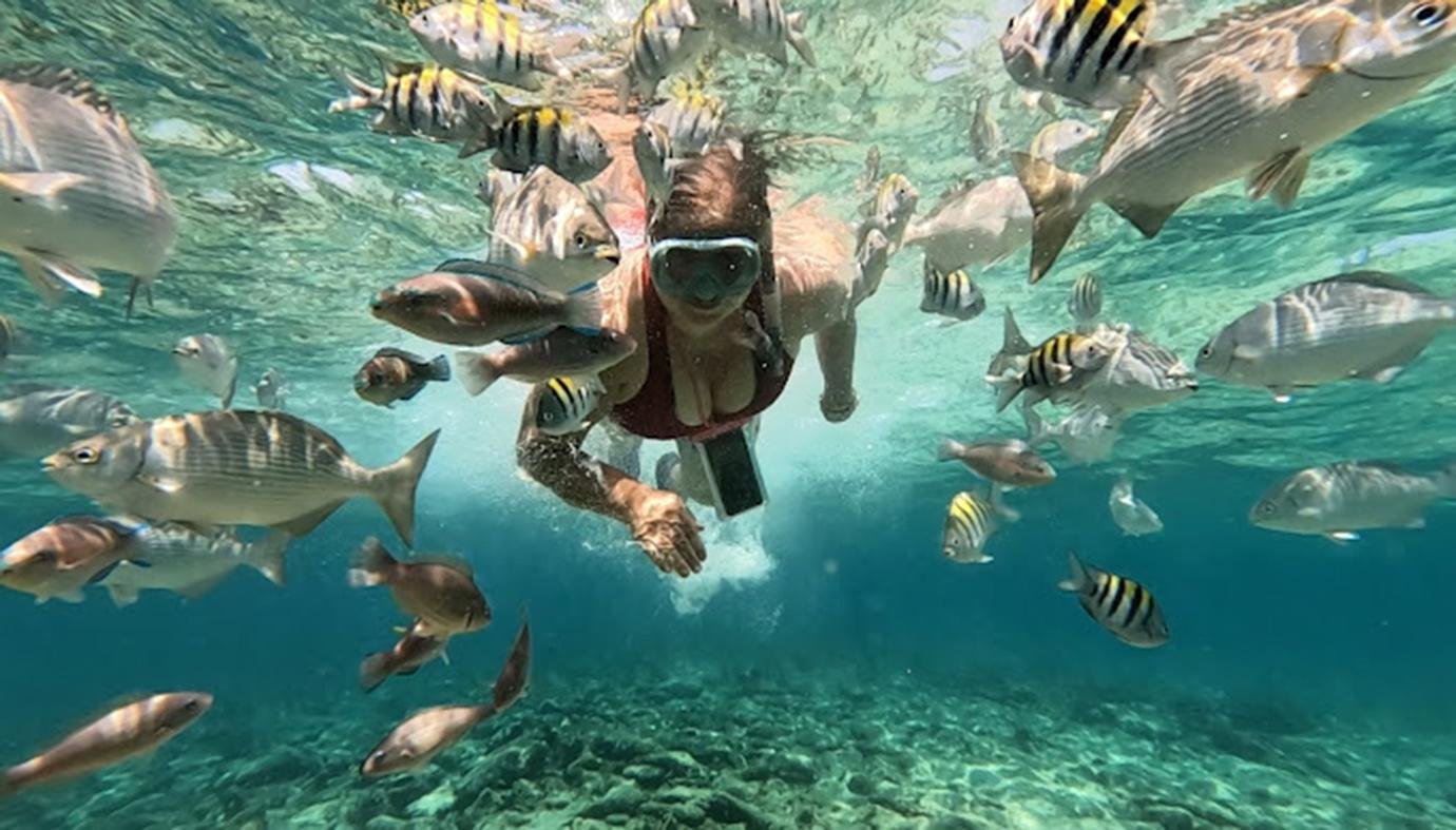 Cartagena: Rosario Islands, Playa Blanca & Snorkeling Excursion