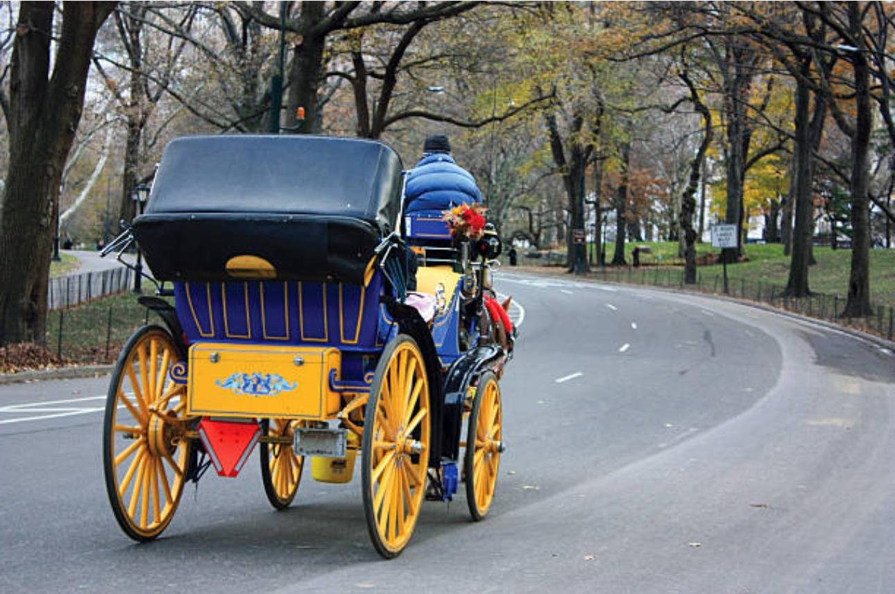 Private Central Park Horse Carriage Tour with Guide