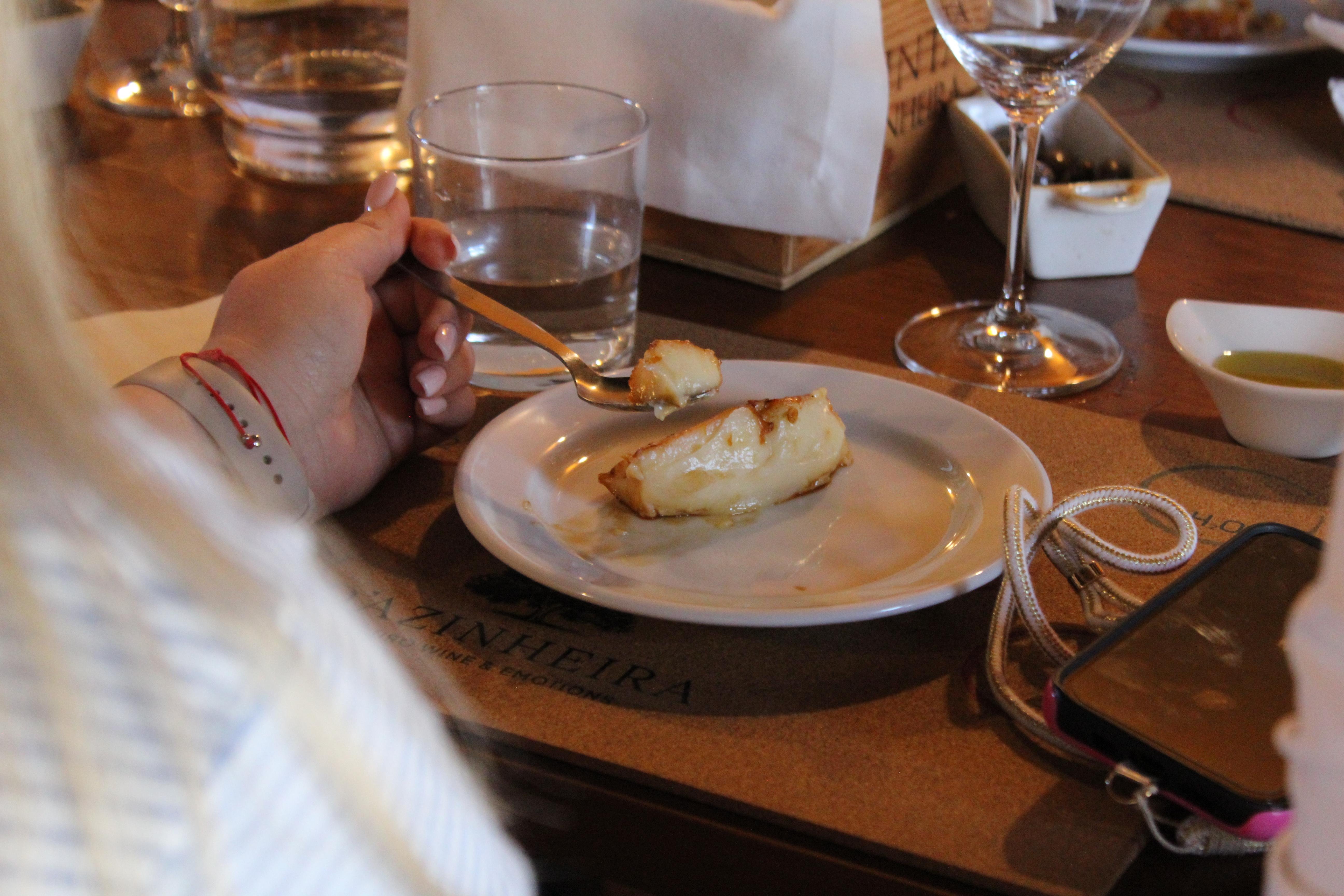 Douro Valley Wine & Cruise Day Trip from Porto