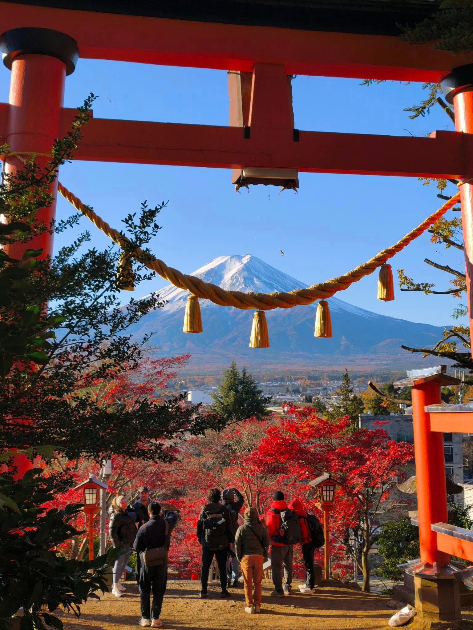 Mount Fuji Private Photo Day Trip from Tokyo – 5 Iconic Spots