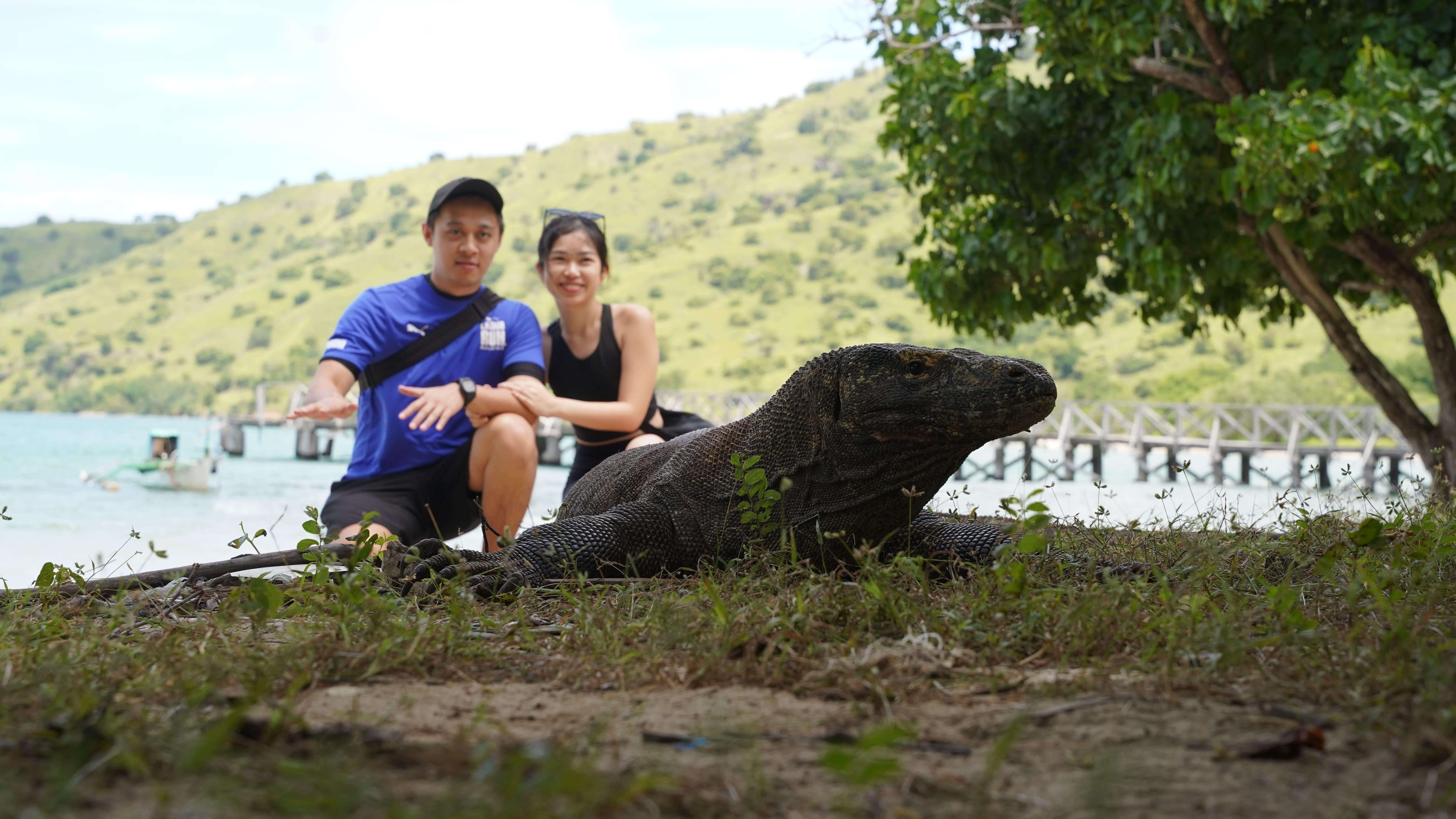 Komodo National Park Full-Day Speedboat Adventure from Labuan Bajo