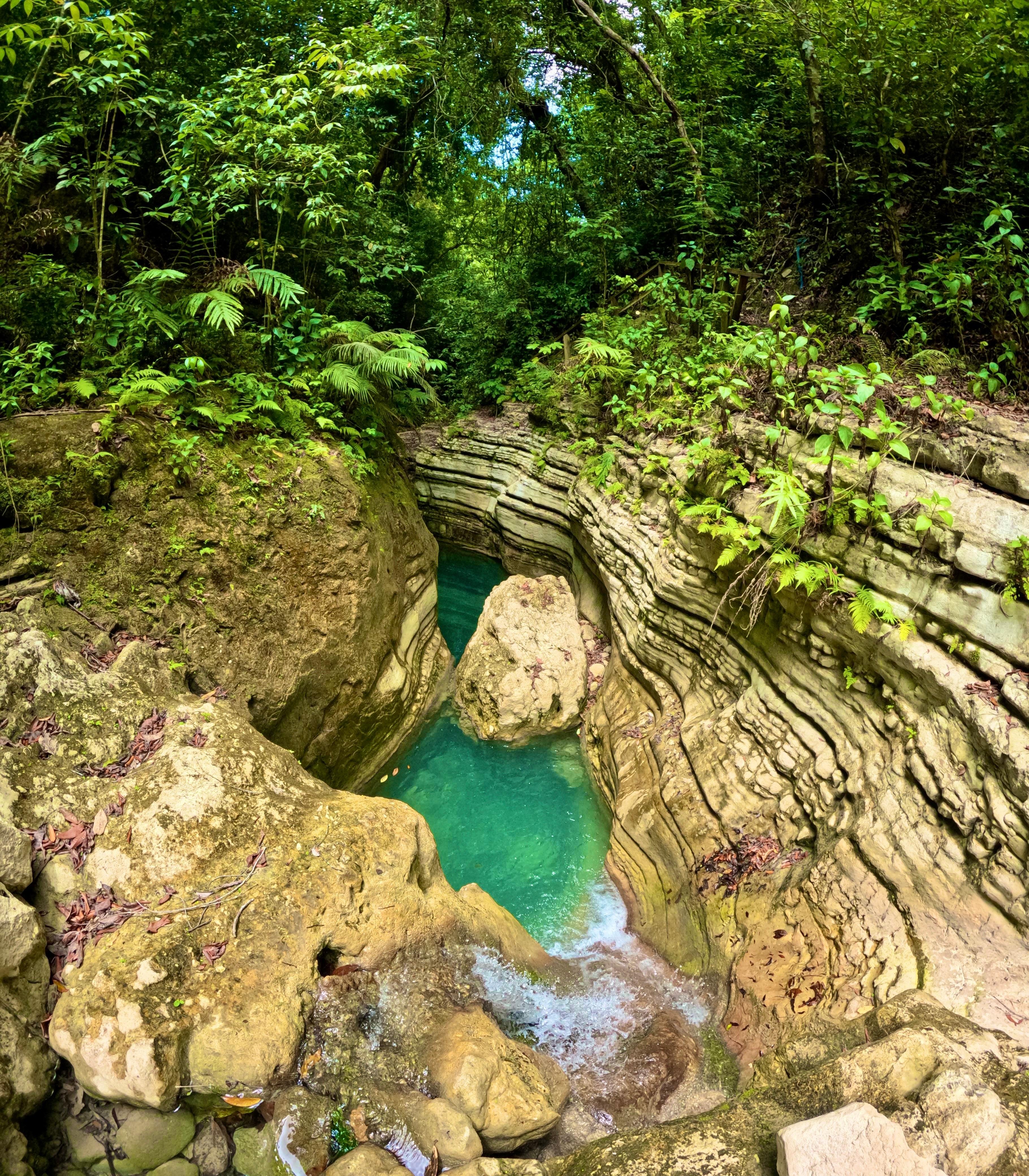 27 Waterfalls of Damajagua Adventure & Dominican Lunch