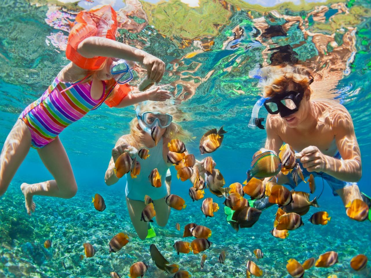 Sharm El-Sheikh: Private Speedboat to Tiran Island – Snorkel & Dive