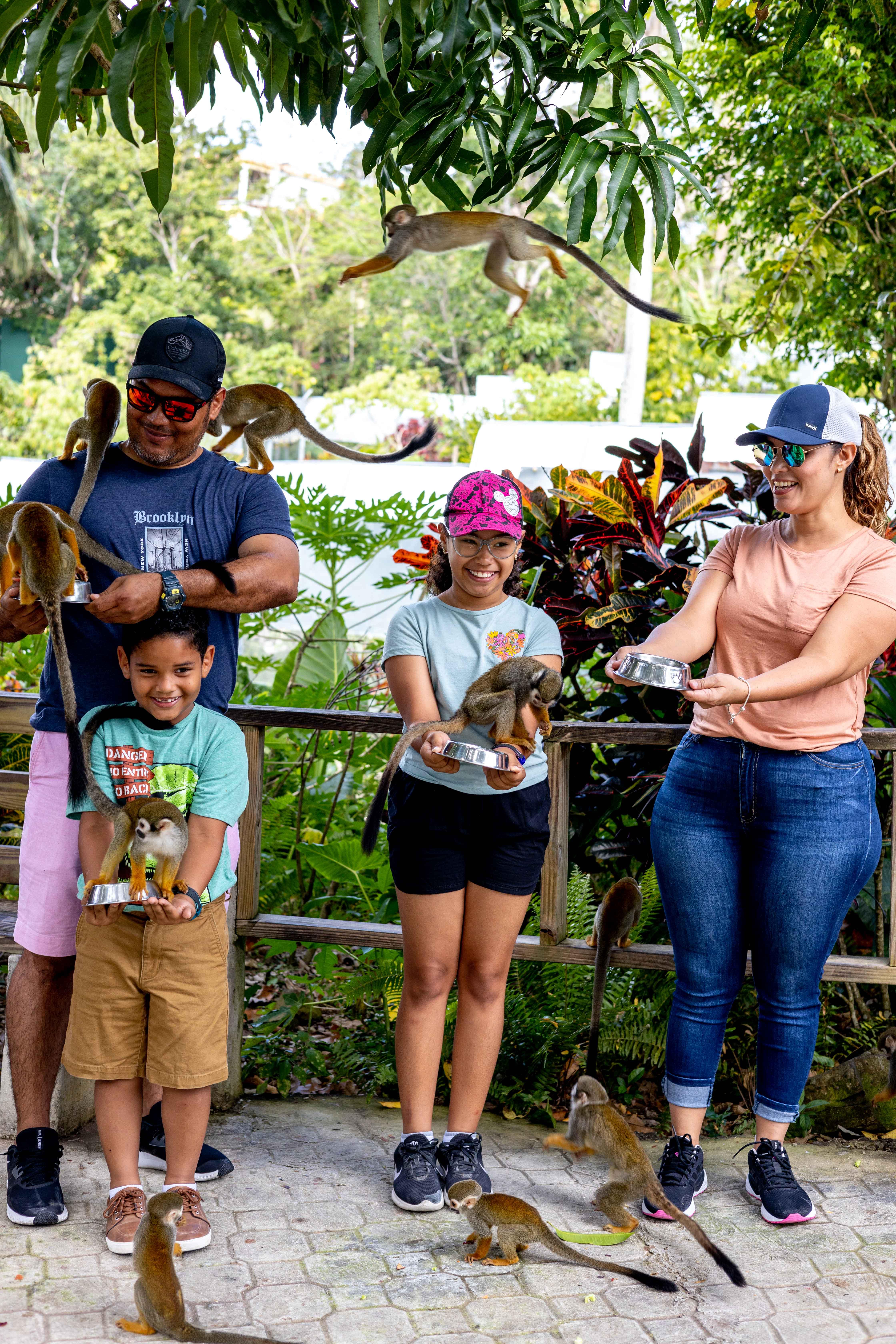 Punta Cana: Monkey Land Safari & Plantation Tour