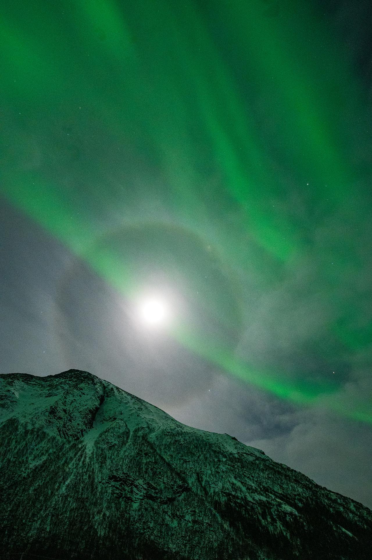 Northern lights tour, image 24