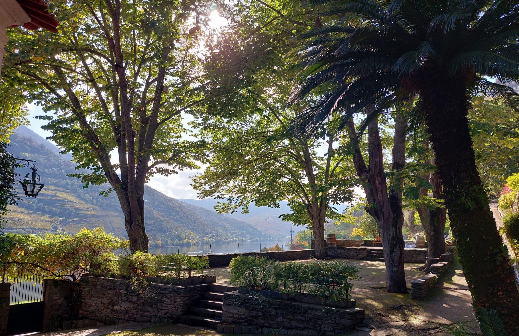 Quinta da Foz Wine Tour & 5-Wine Tasting in Pinhão