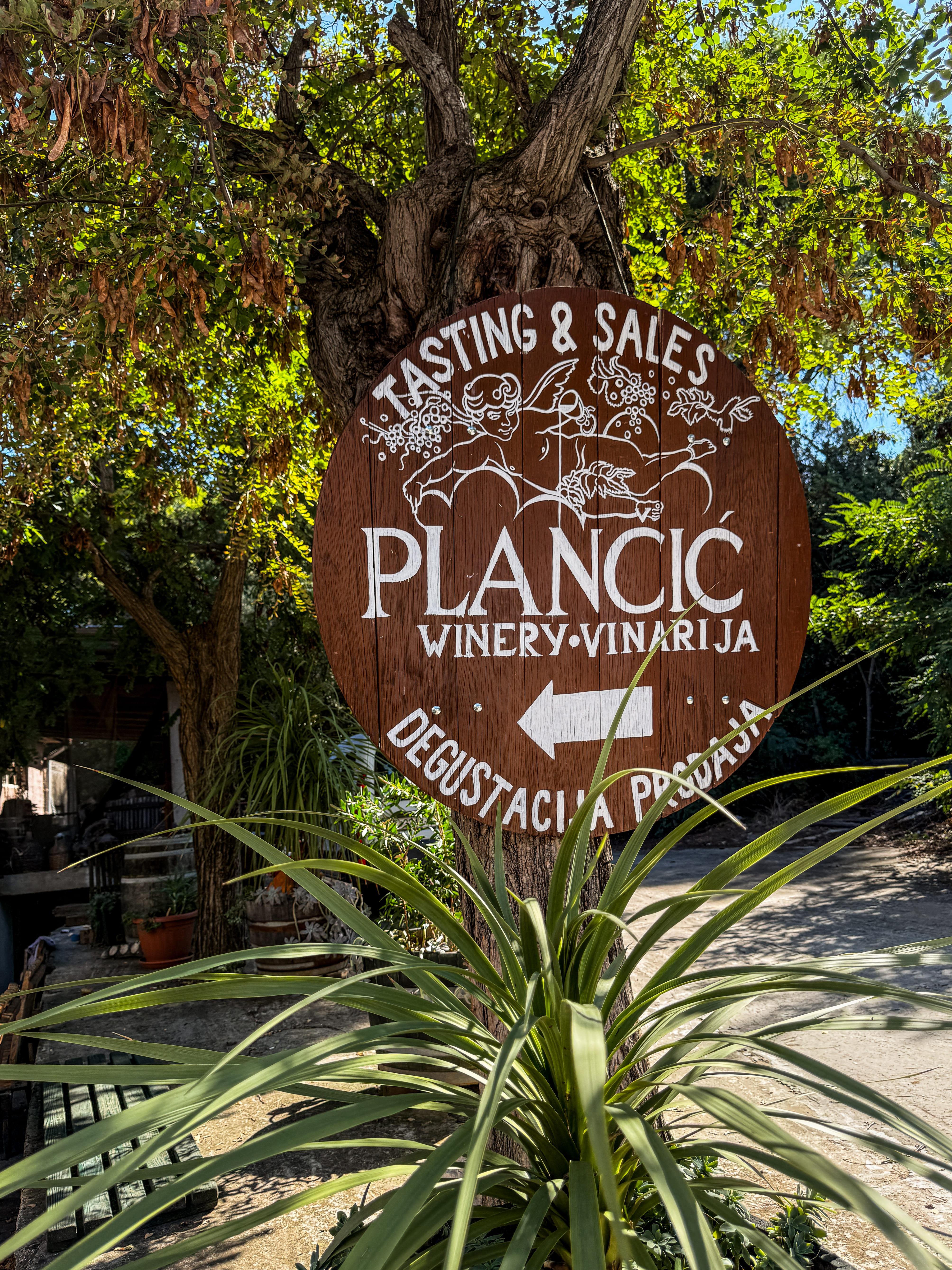 Family Winery Tour & Tasting in UNESCO Wine Region