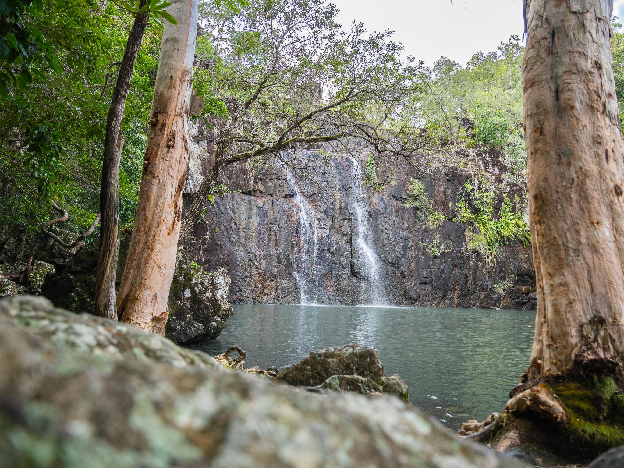 Cedar Creek Falls Eco Tour from Airlie Beach