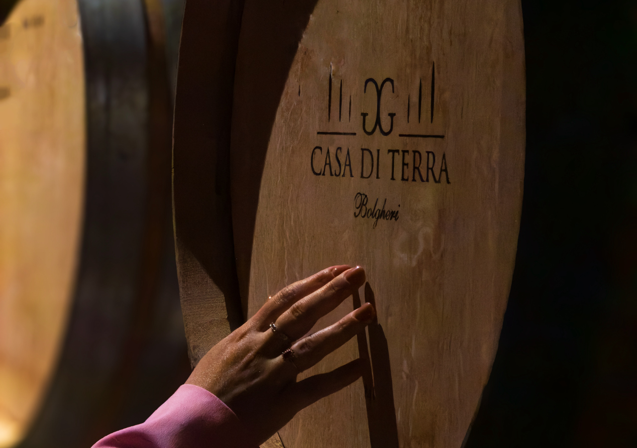 Bolgheri Winery Tour with Vineyard Walk & Tasting