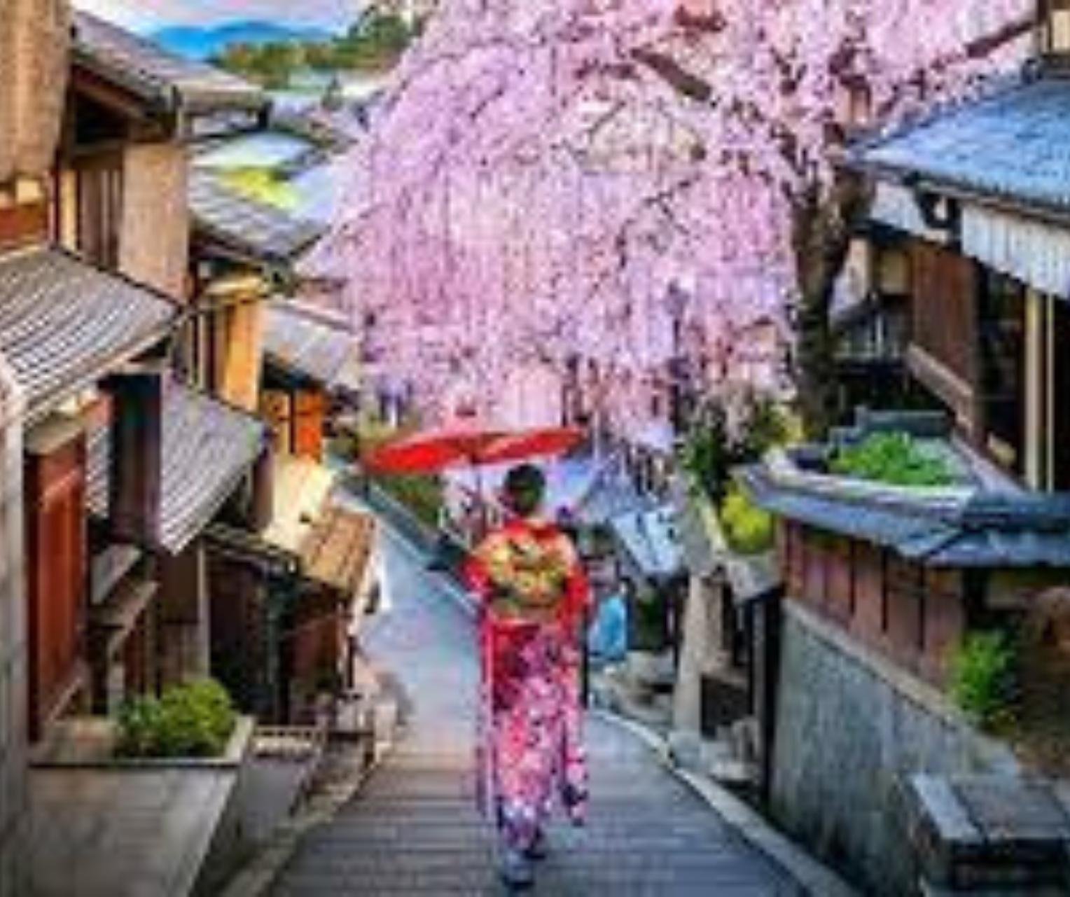 Kyoto Private Full-Day Tour with Luxury Vehicle & Expert Guide