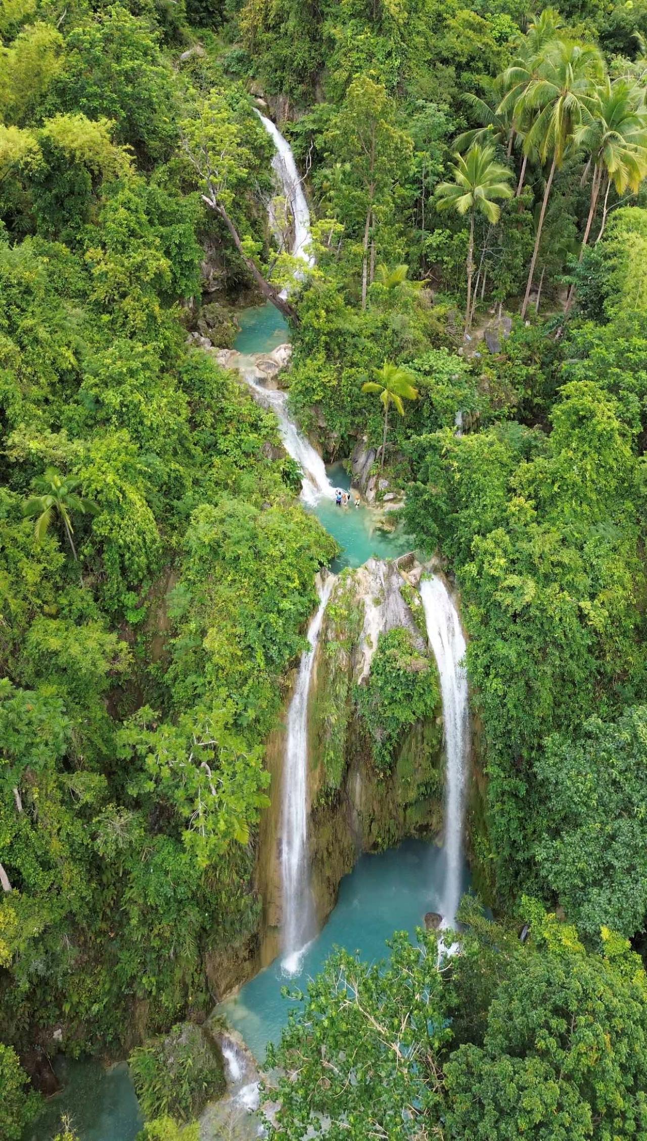 Cebu Triple Adventure: Whale Sharks, Sardine Run & Inambakan Falls