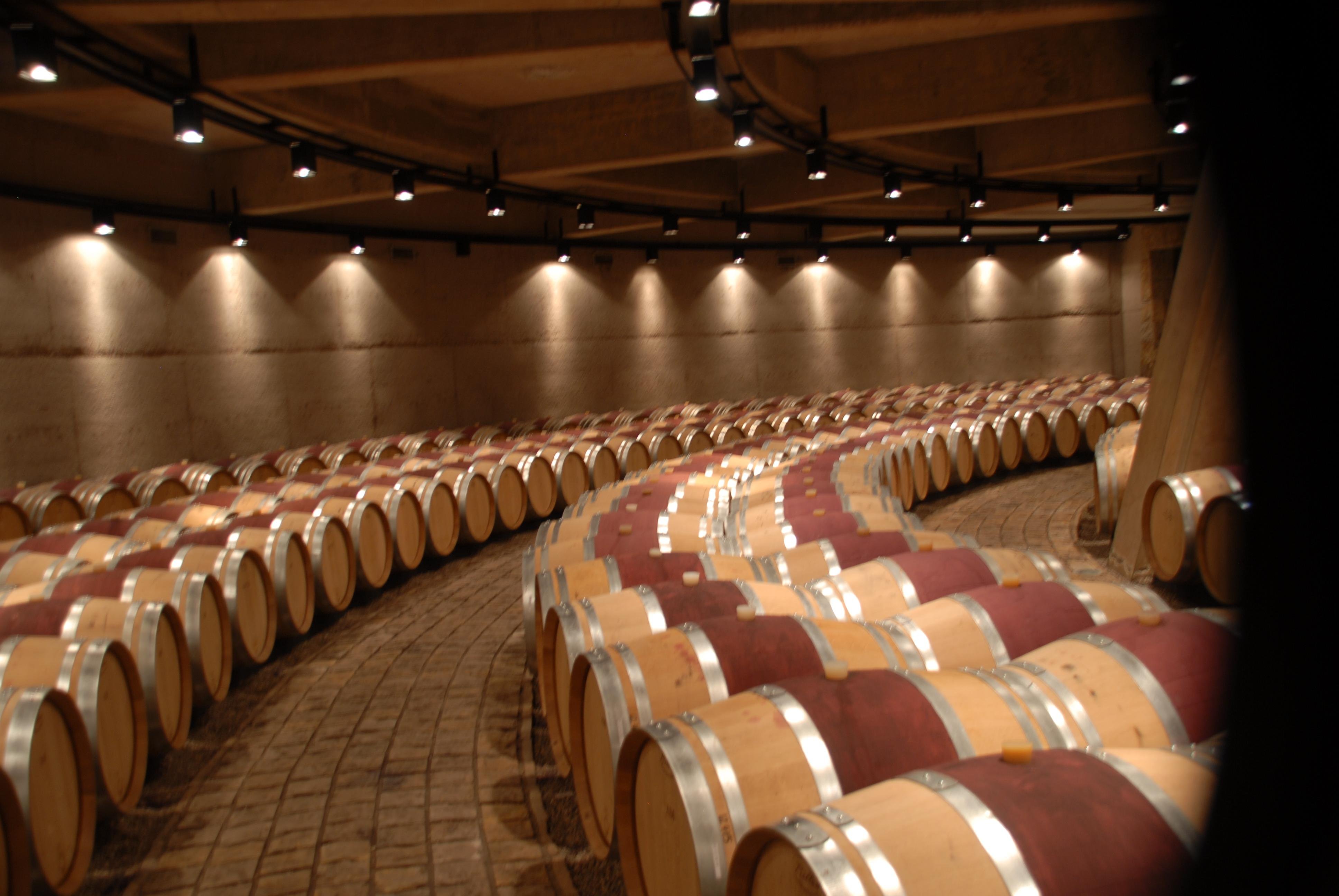 Private Mendoza Wine Tour: 2 Estates with Tastings