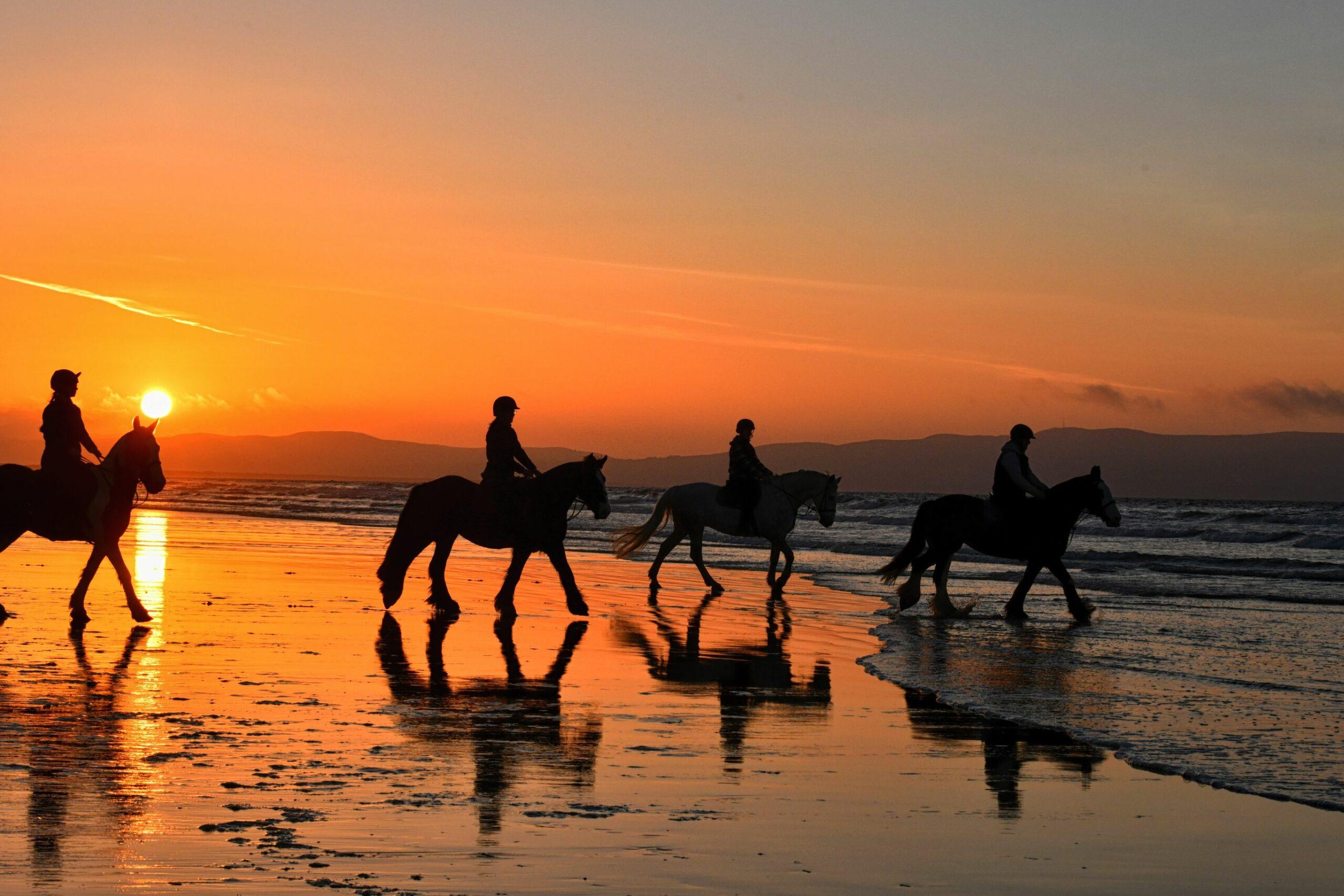 Sunset Horseback Riding Adventure at Playa Conchal