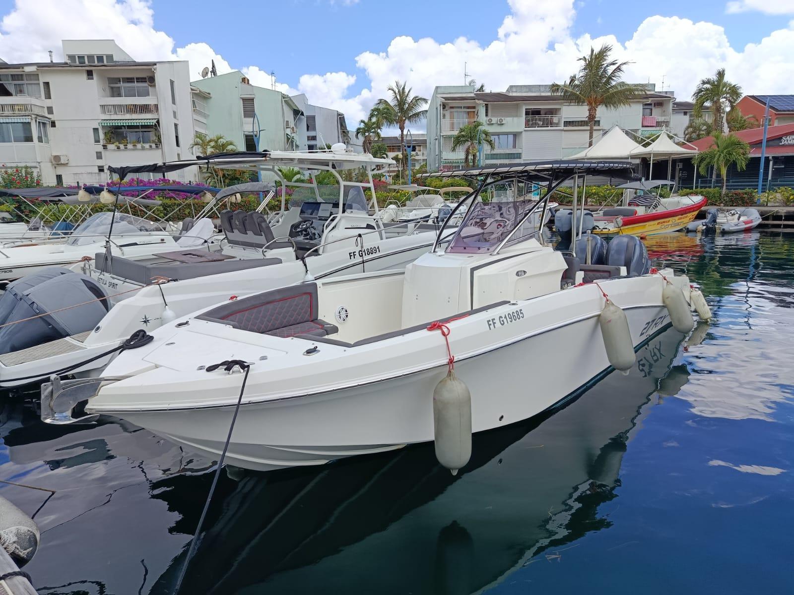 Martinique Turtle Snorkeling Boat Excursion