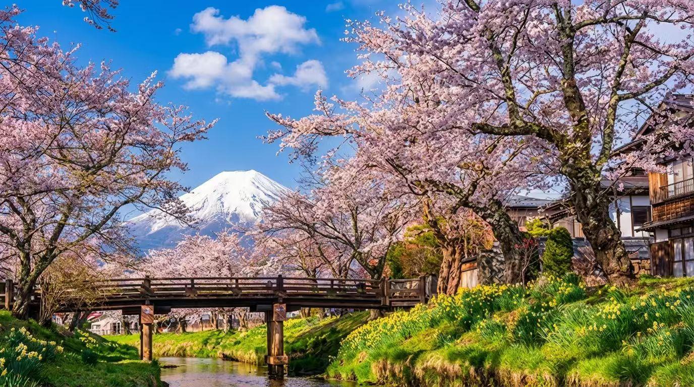 Full-Day Mt. Fuji and Iconic Scenic Spots Tour