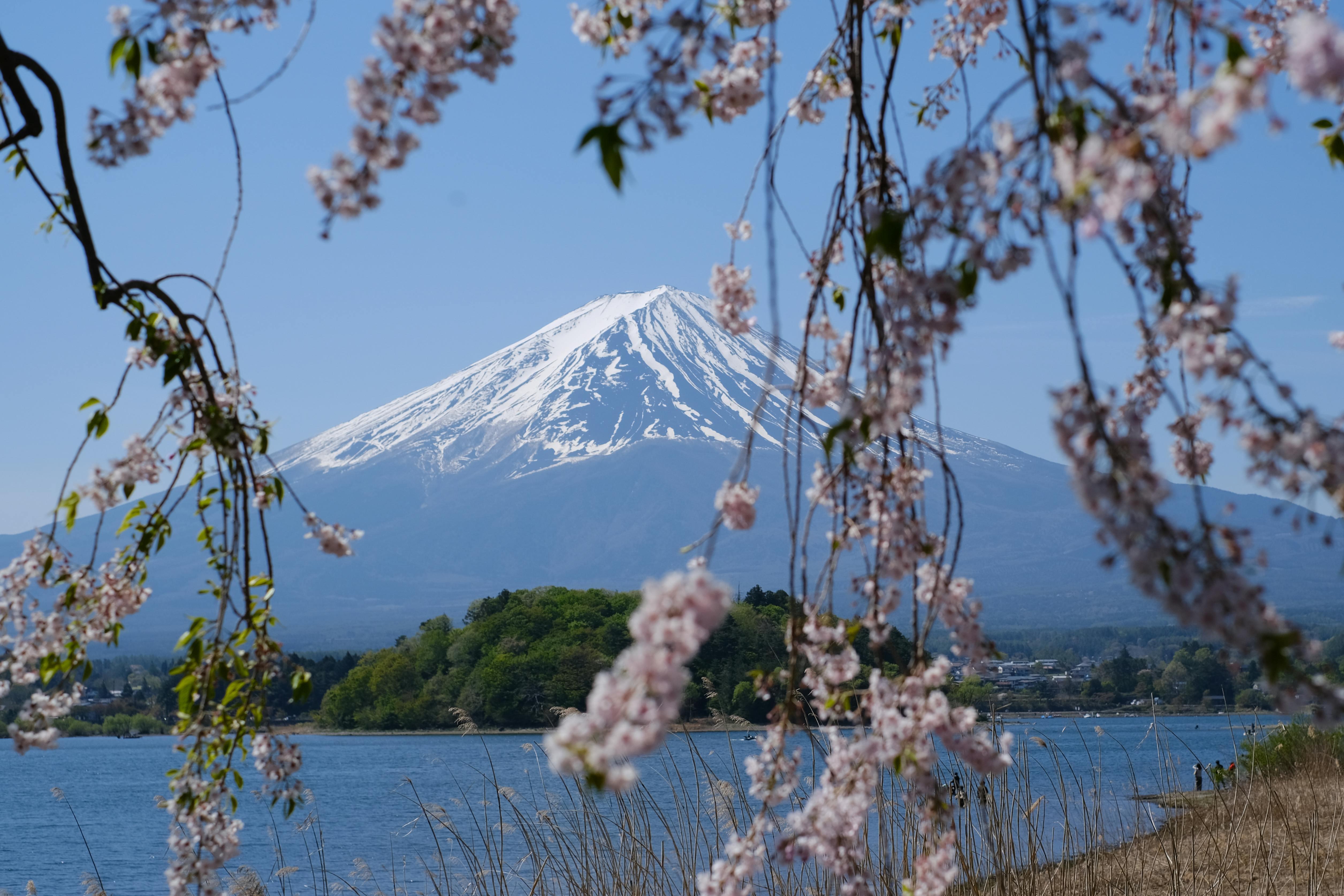 Private Mt. Fuji & Hakone Custom Chauffeur Tour