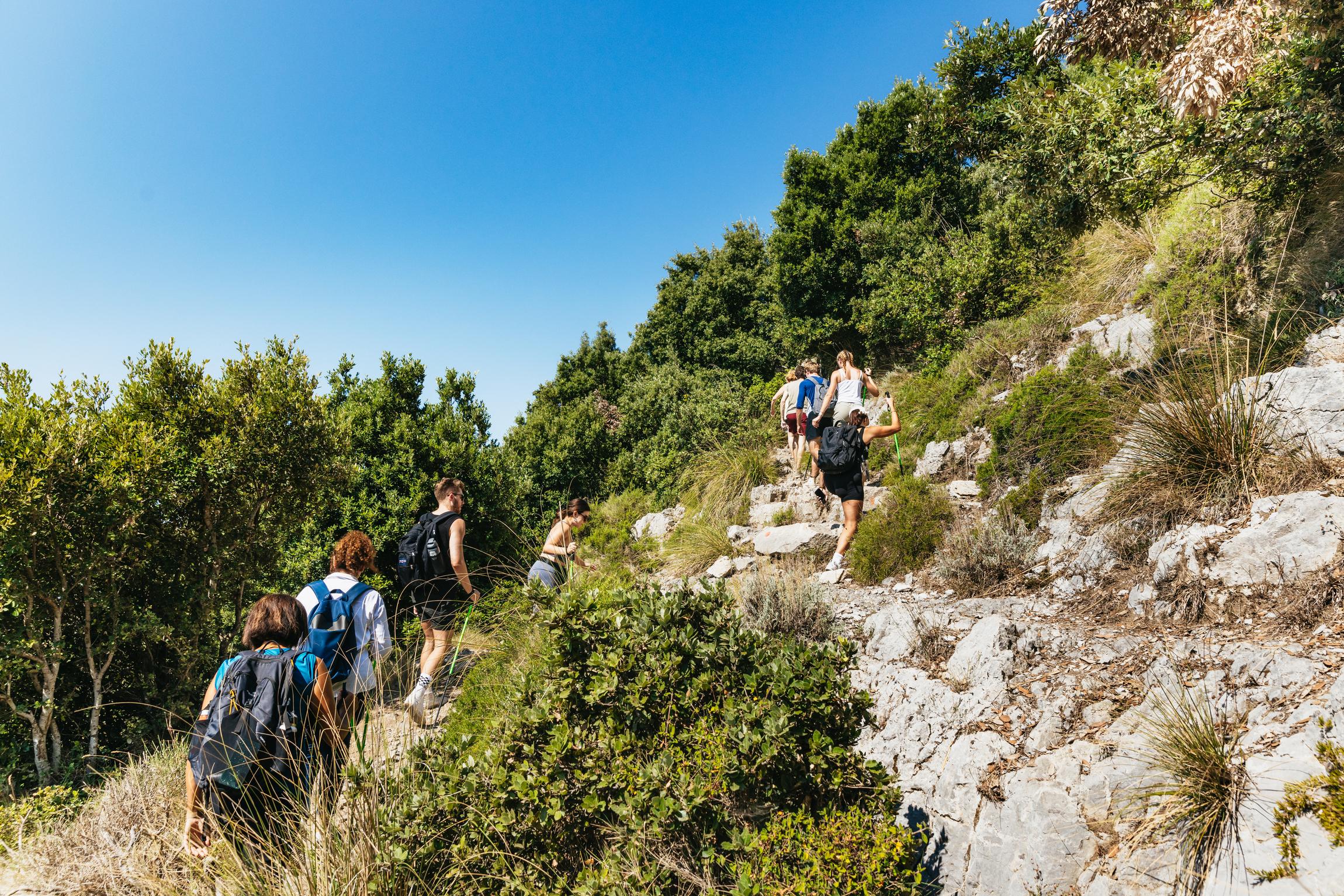 Path of the Gods Guided Hike from Sorrento with Round-Trip Transfer