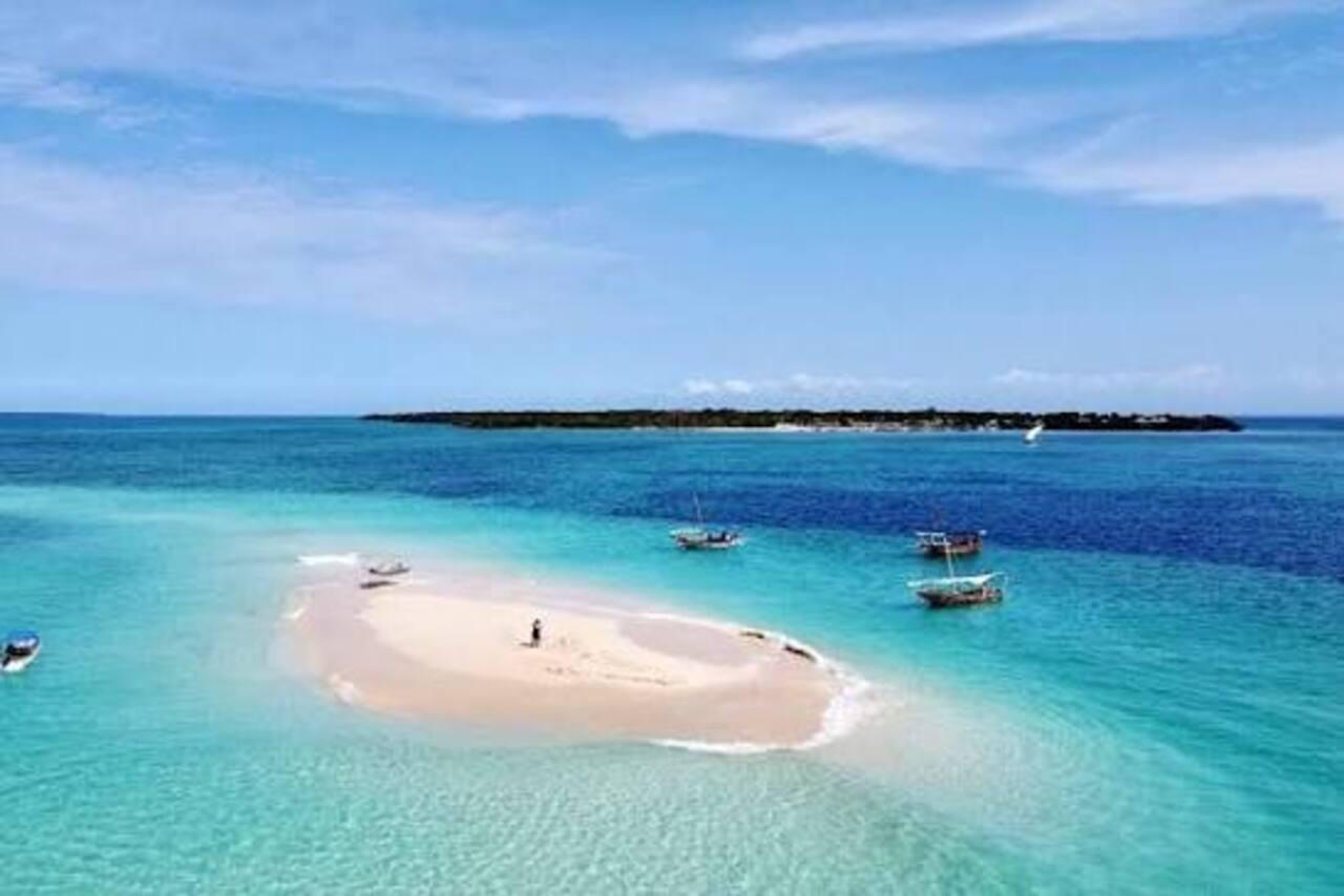 Zanzibar Blue Safari: Snorkeling, Kwale Island & Seafood BBQ