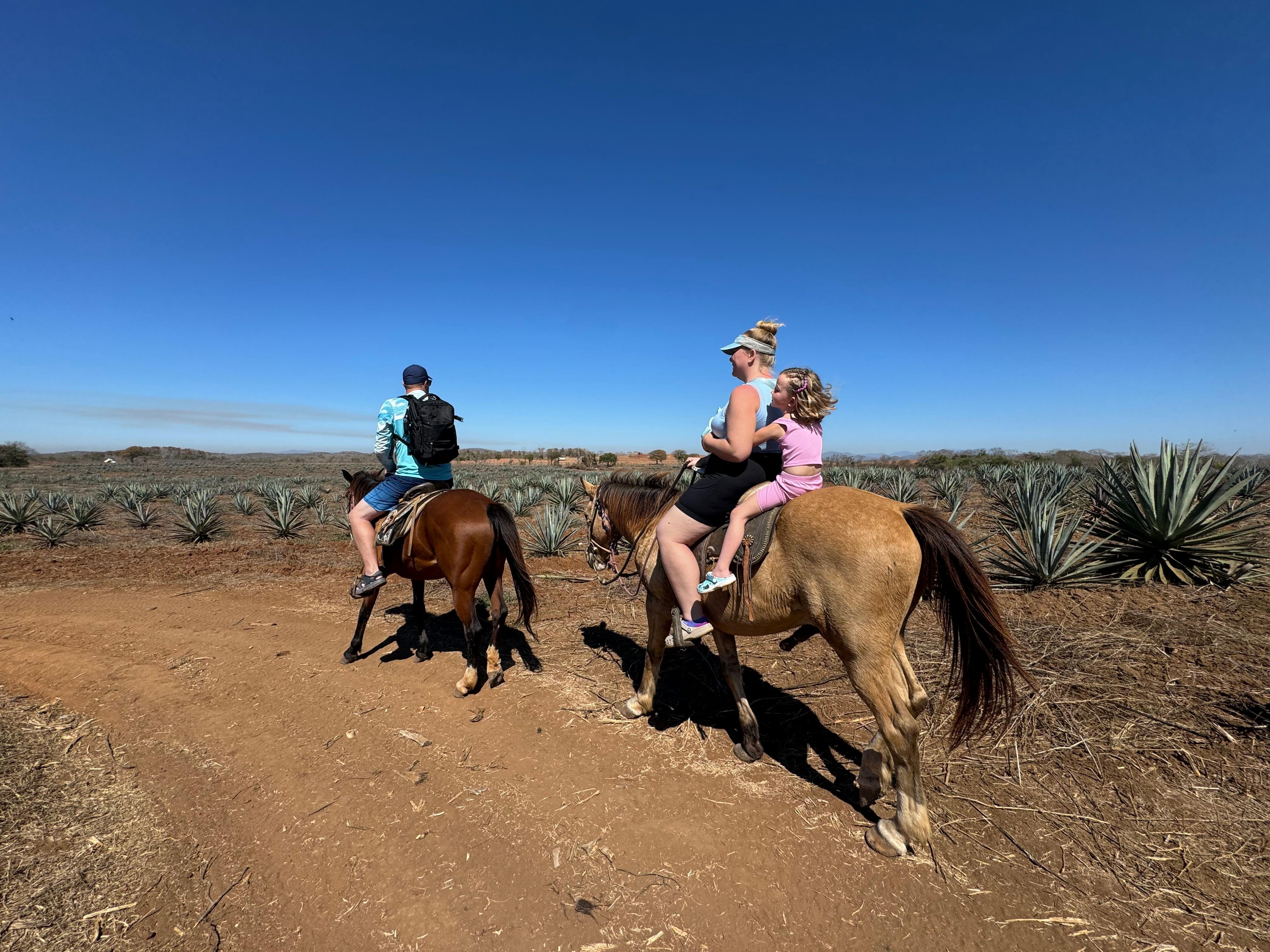 Horseback Jungle & Beach Adventure with Mezcal Tasting