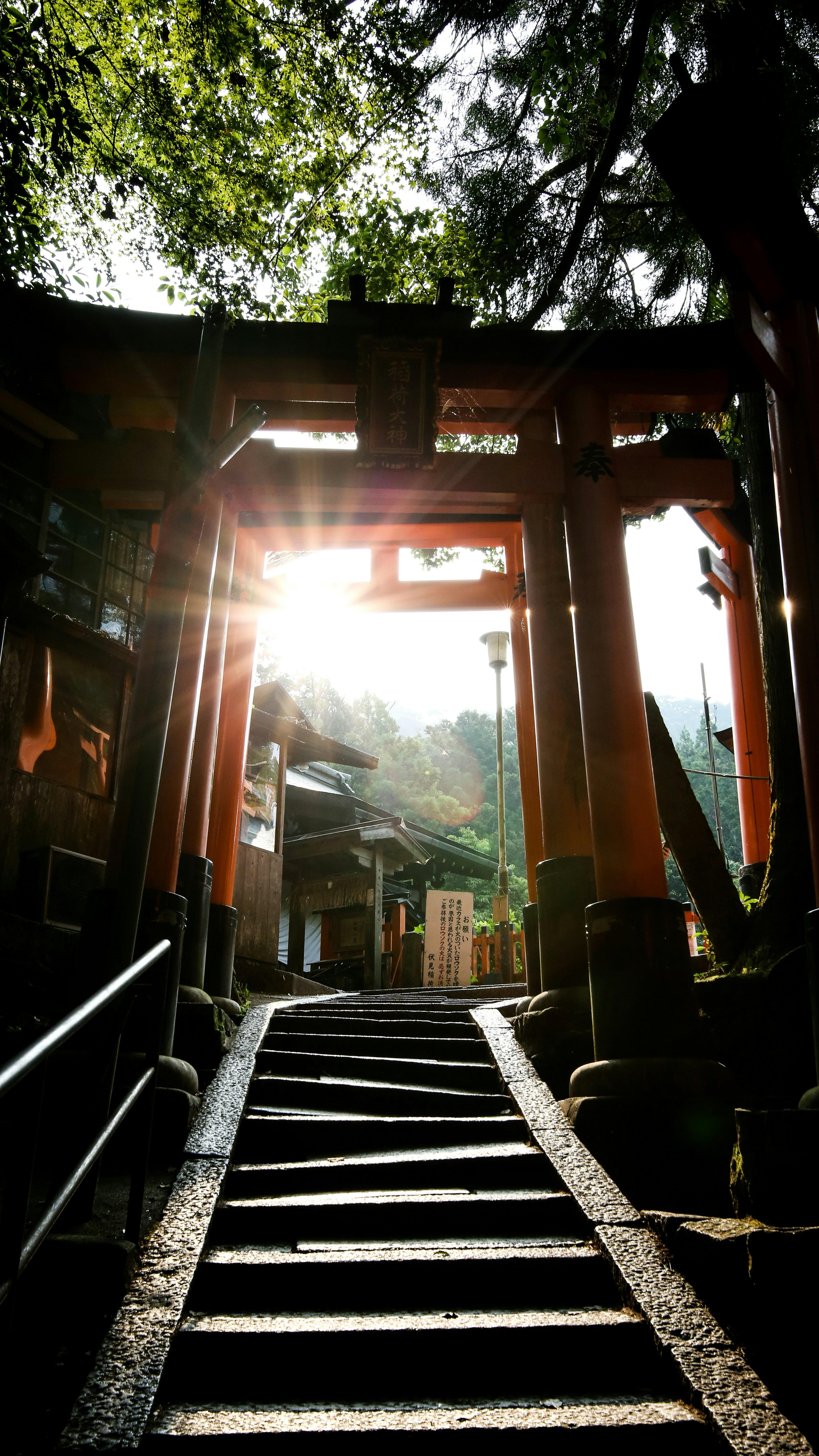嵐山ガイド付きウォーキングツアー：竹林、禅寺、モンキーパーク