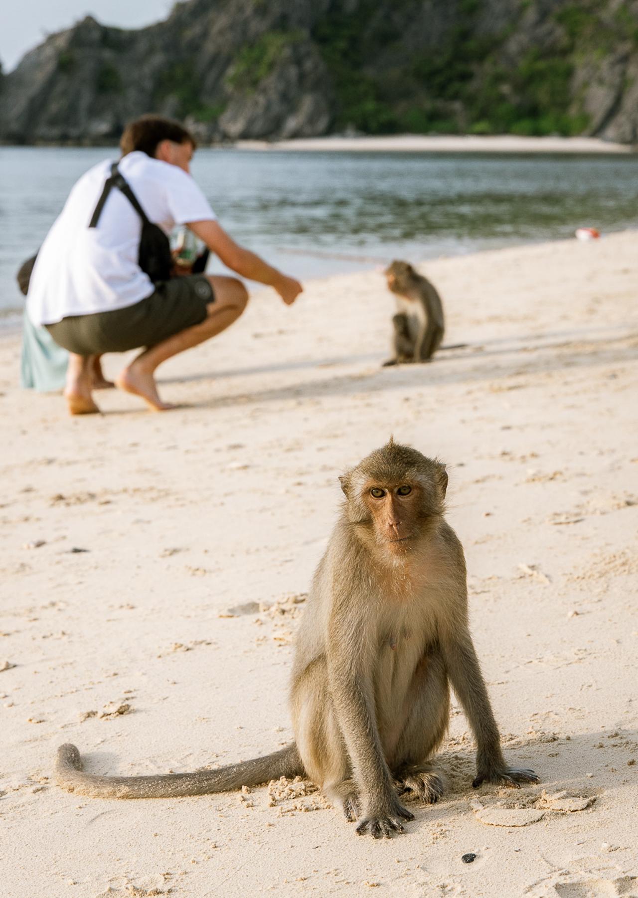 Cat Ba Island: Lan Ha & Ha Long Bay Cruise, Kayak & Snorkel