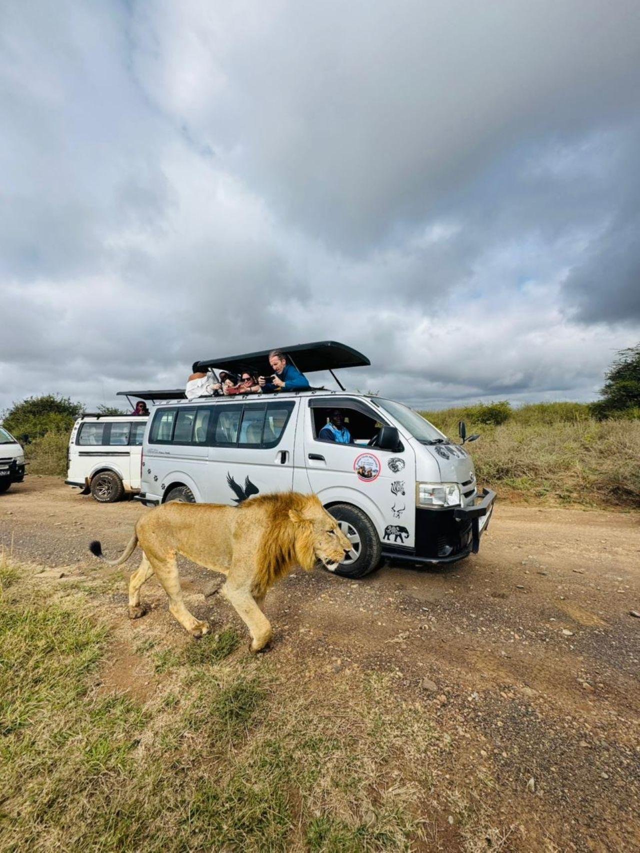 Nairobi Safari: National Park, Elephant Orphanage & Giraffe Center