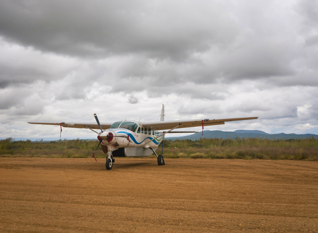 Zanzibar to Mikumi: Fly-In Safari Day Trip by Twin-Engine Plane
