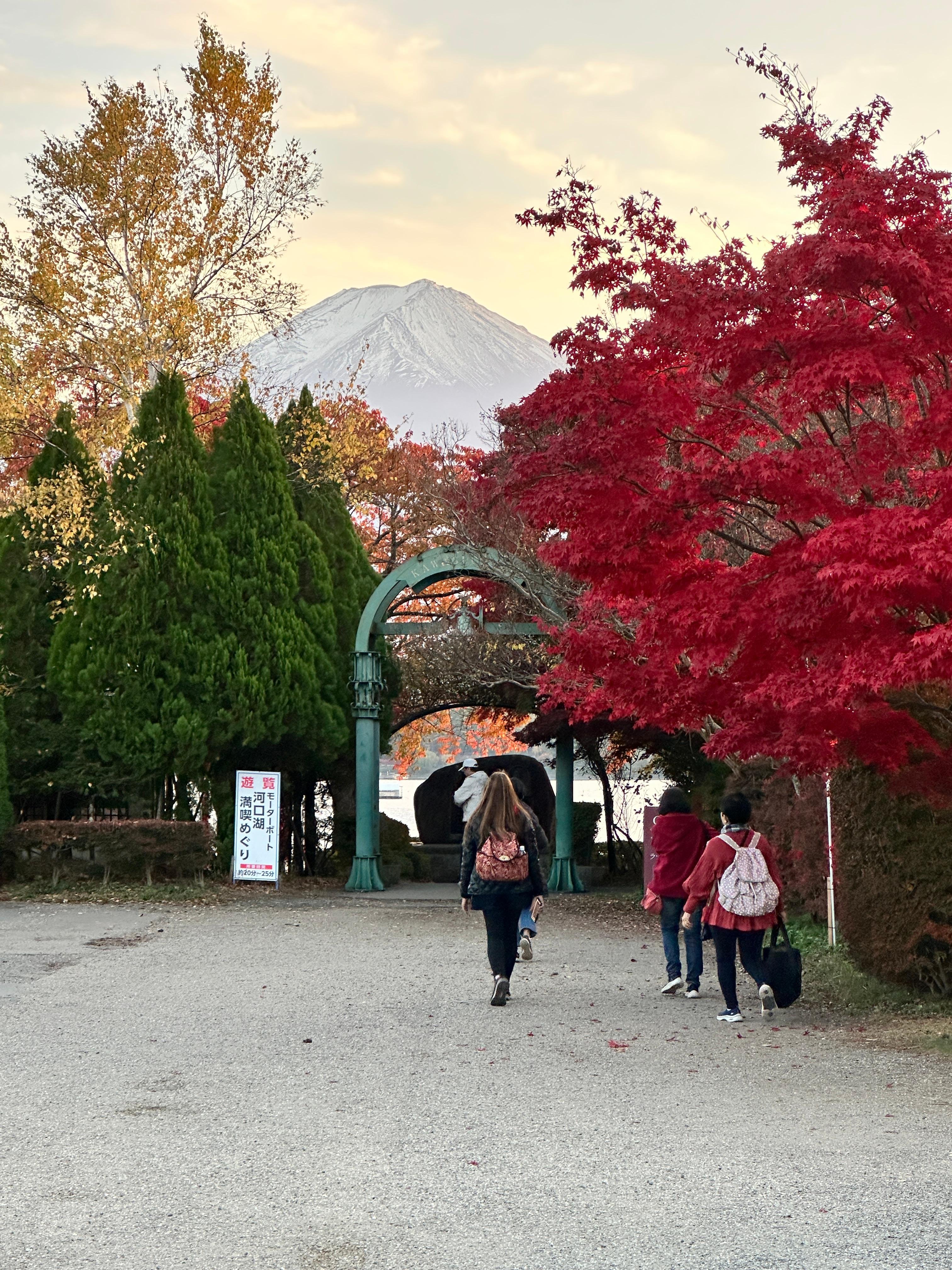 Tokyo to Mt. Fuji Private Luxury Day Tour with Hotel Pickup