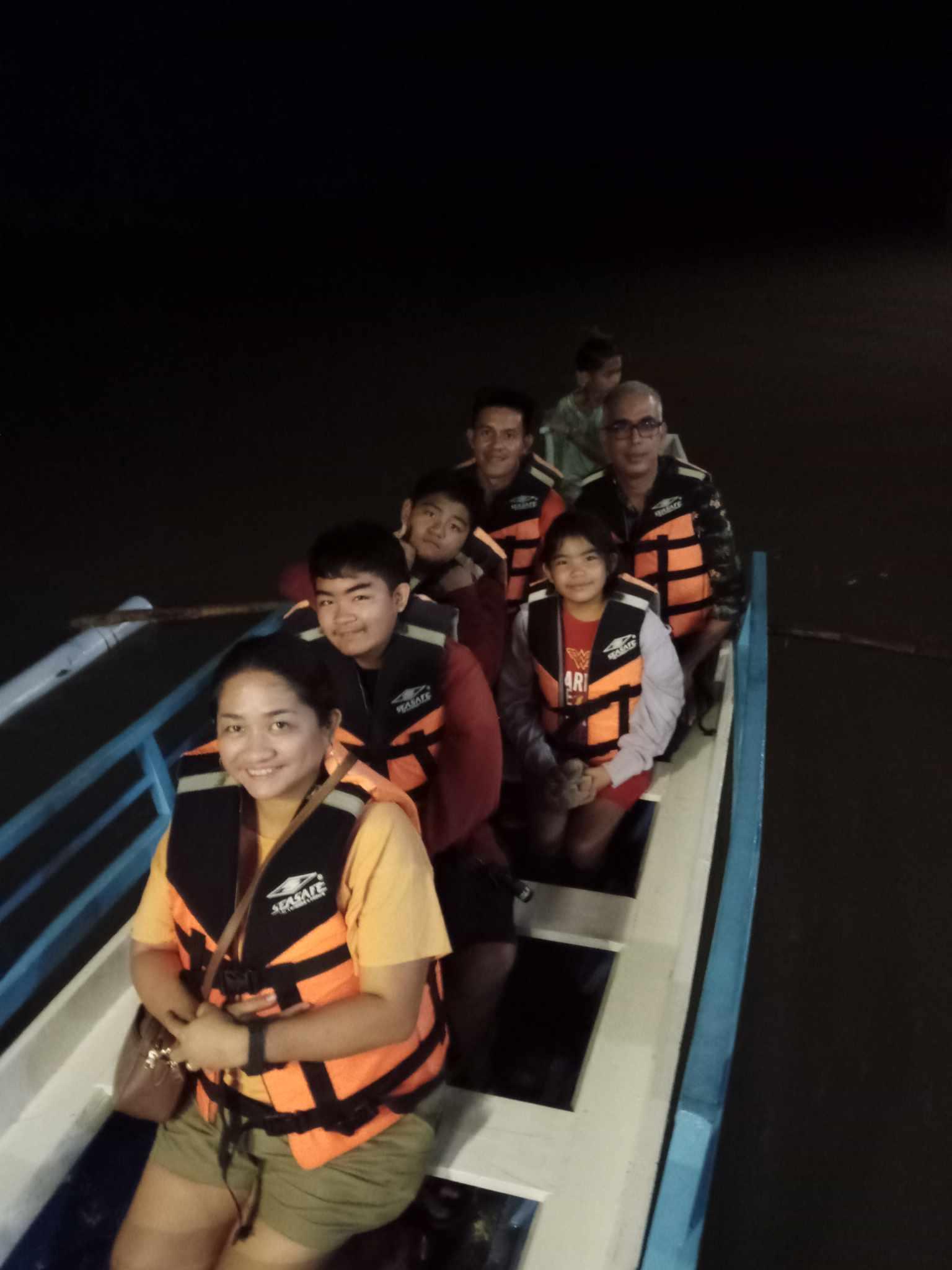 Puerto Princesa Firefly & Bioluminescent Plankton Cruise with Dinner