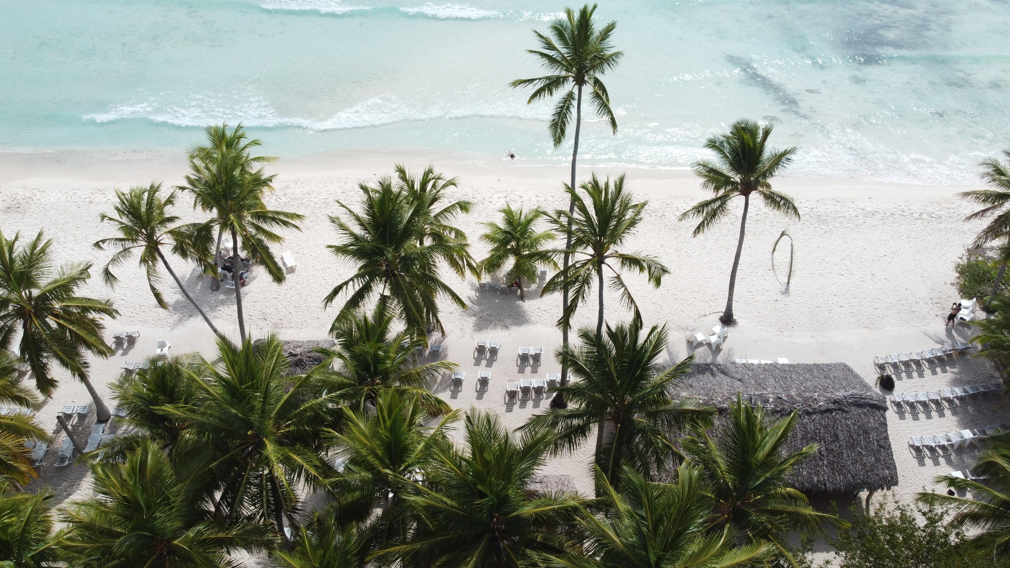 Punta Cana: Saona Island Escape by Catamaran with Lunch & Open Bar