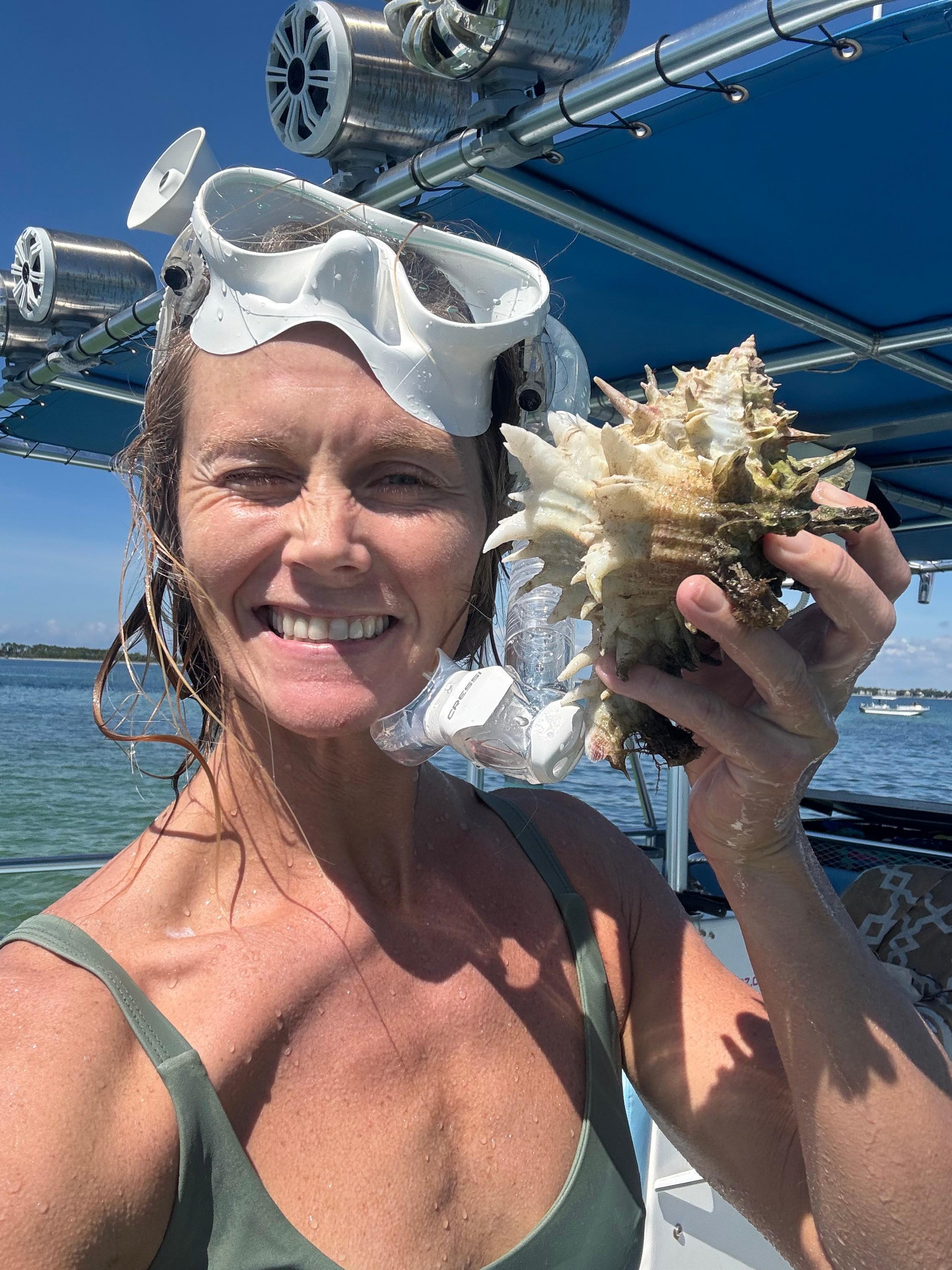 Shell Island Snorkeling Adventure
