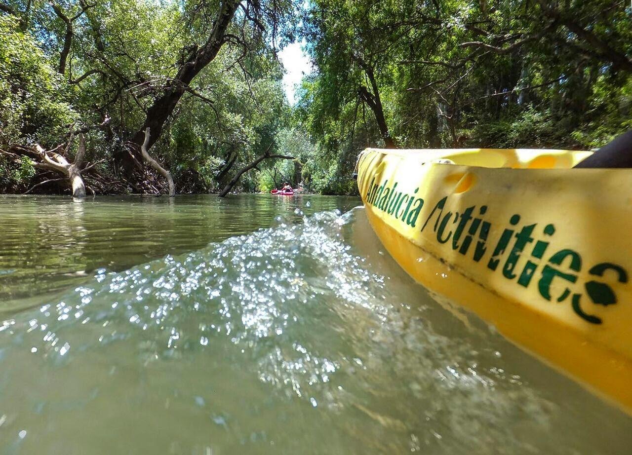 Guadiaro River Kayak Adventure to the Mediterranean