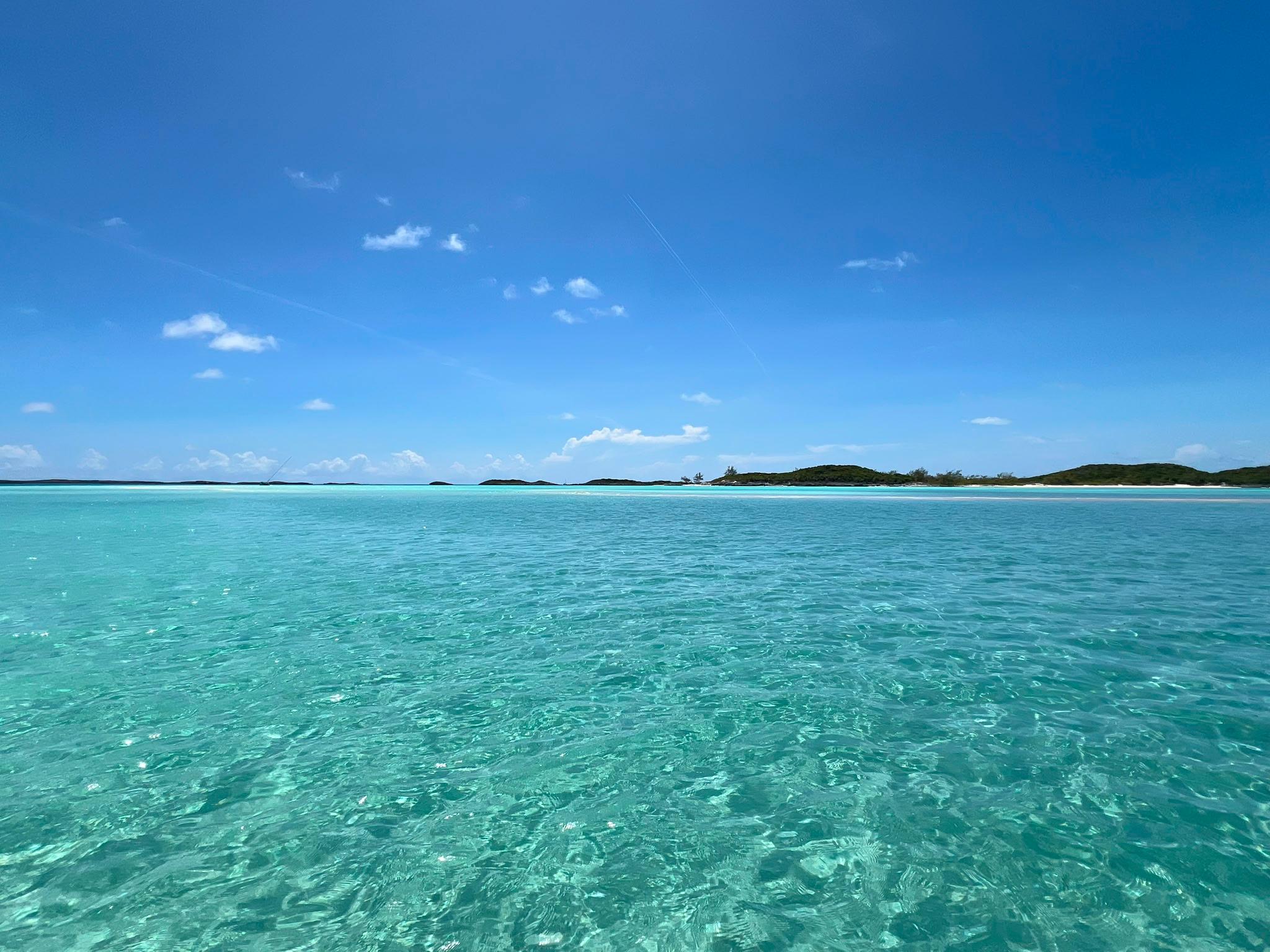 Nassau 3-Island Speedboat Adventure: Pigs, Turtles & Snorkeling