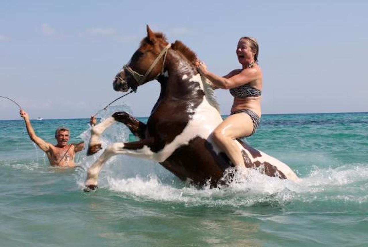 Yotomu Horse Riding & Swimming Adventure