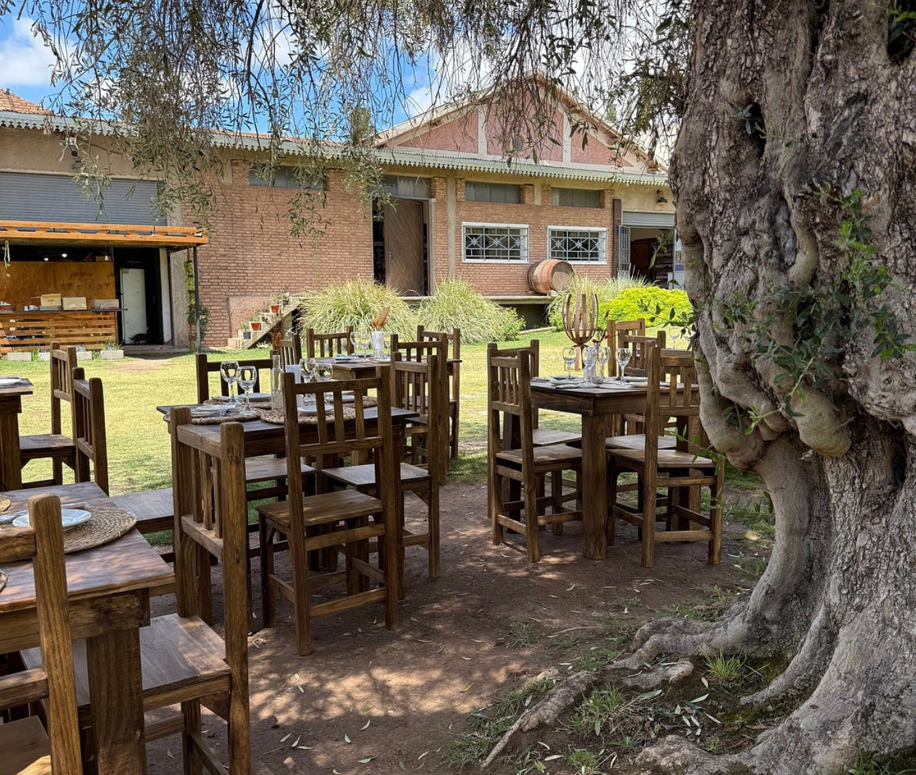 Private Mendoza Winery Tour with Wine Blending Experience