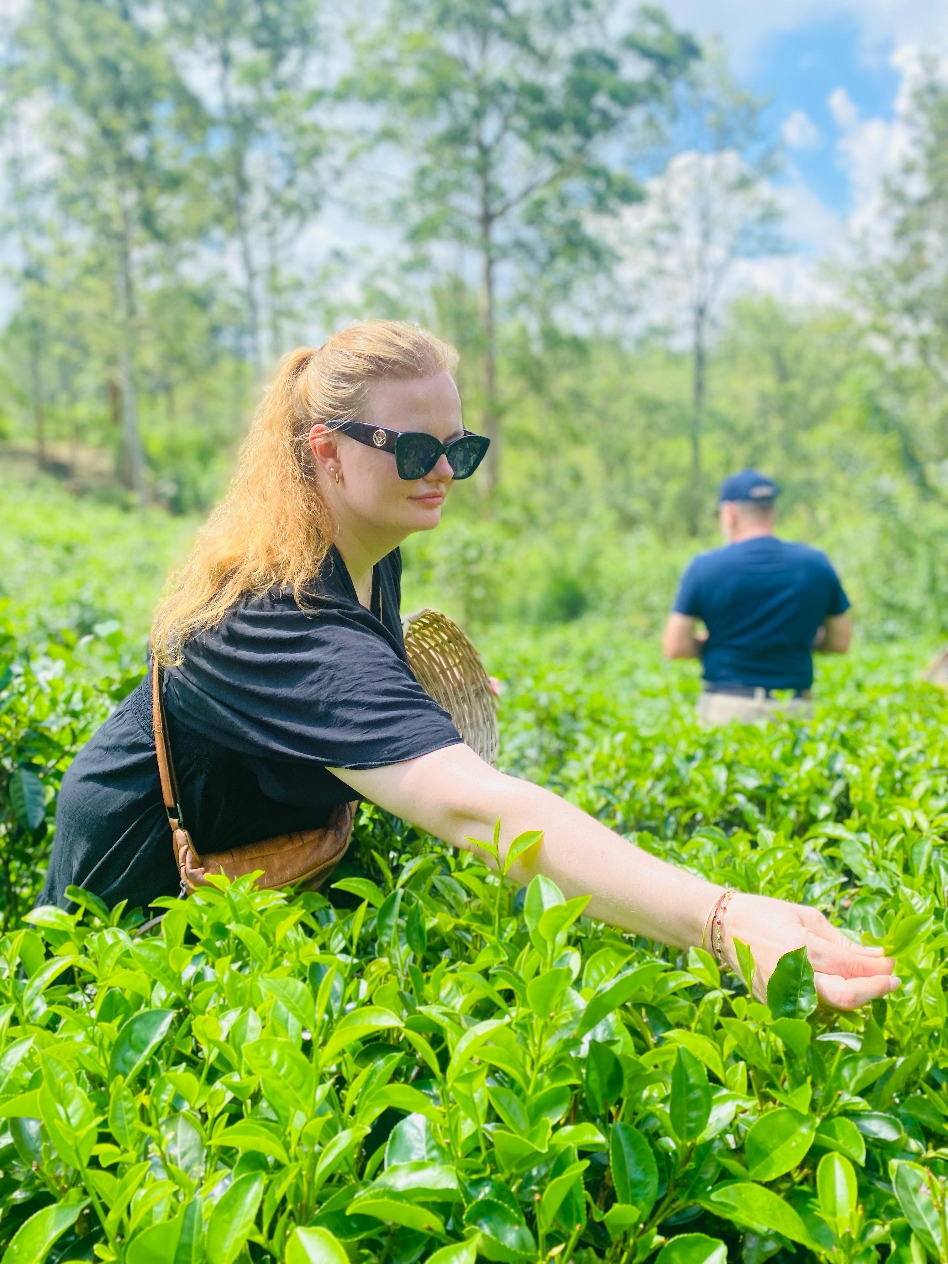 Ella: Hands-On Tea Crafting and Tasting Experience