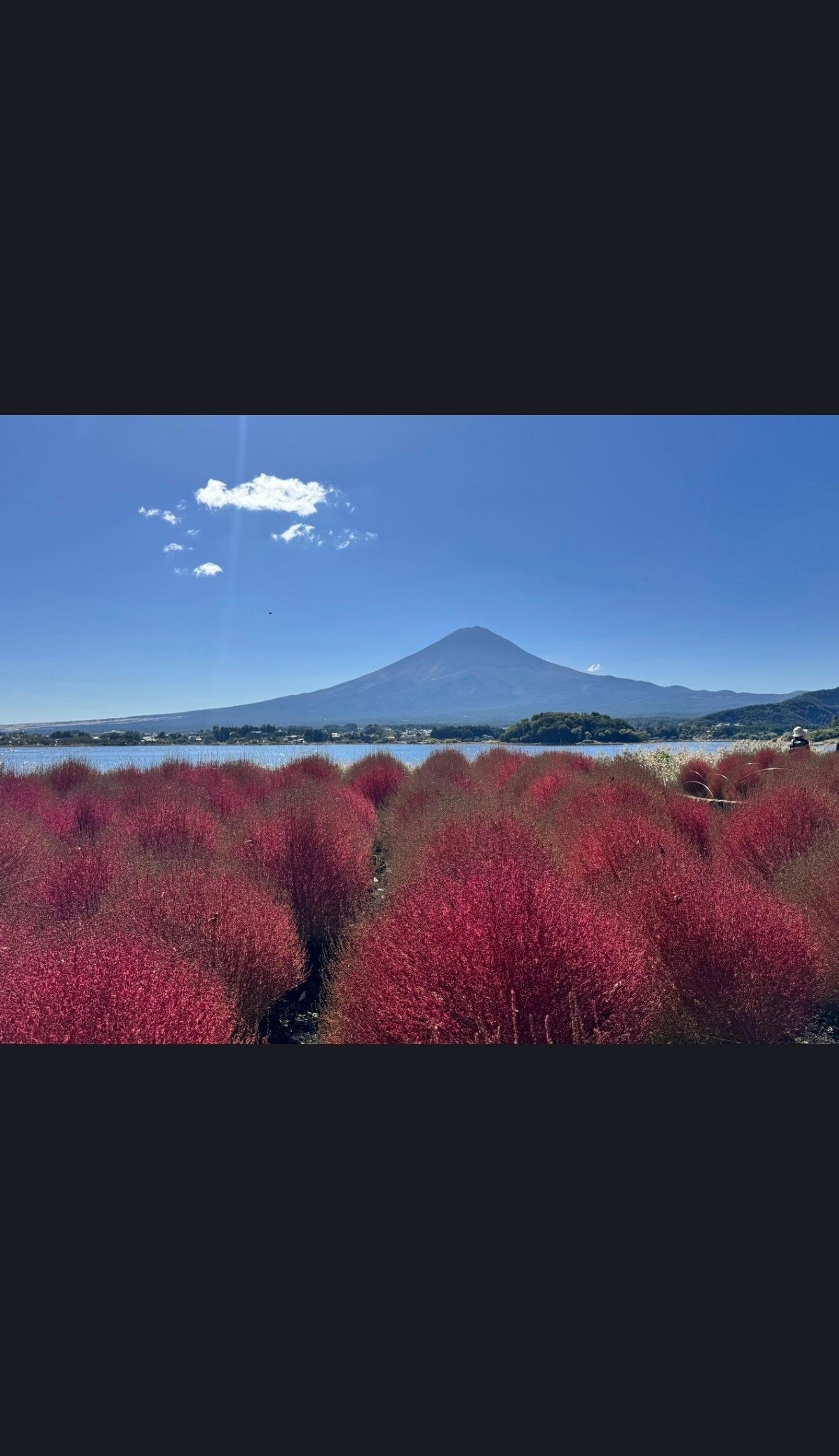 Private Mount Fuji Custom Day Trip from Tokyo