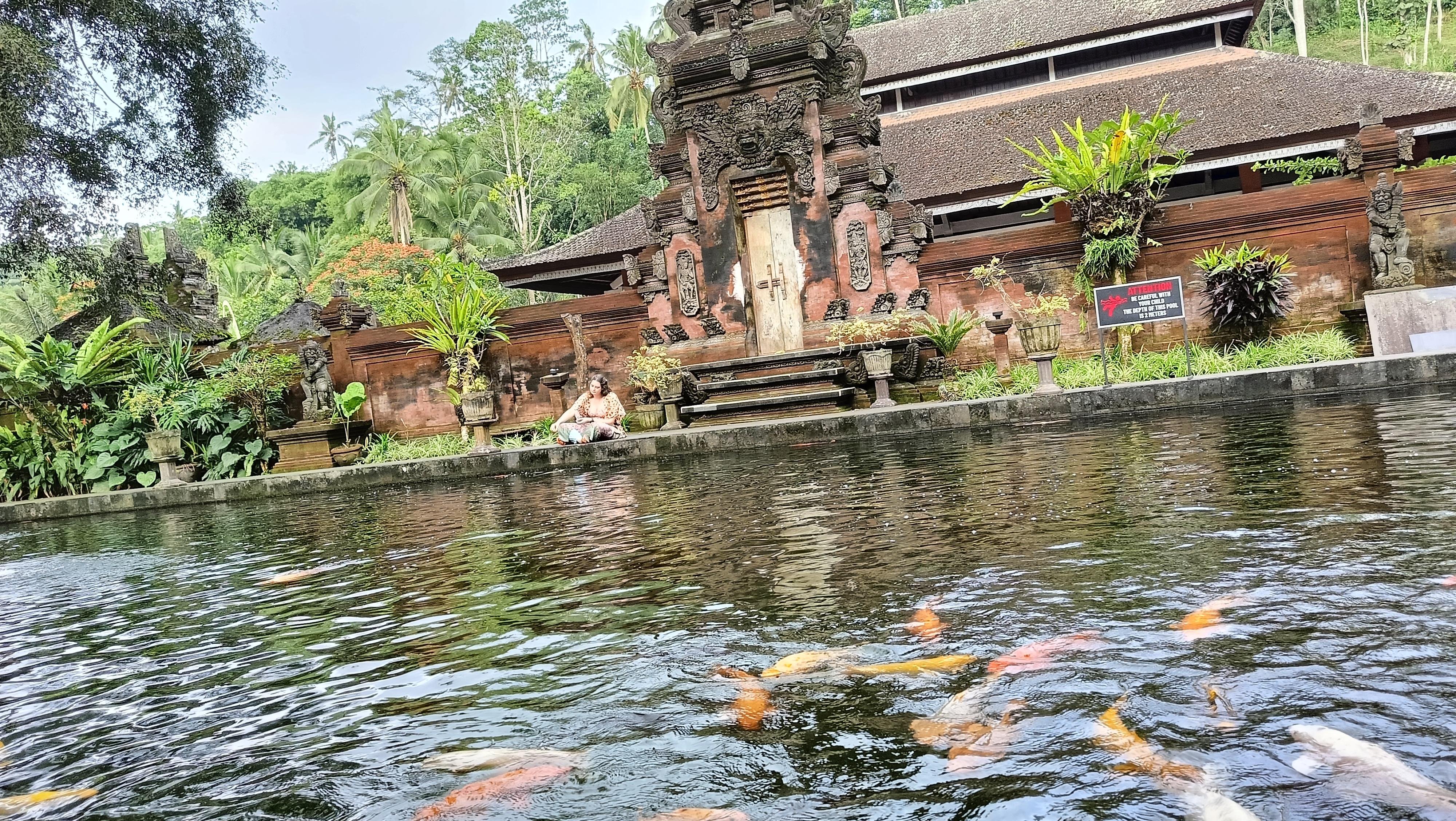 Ubud Cultural Discovery: Sacred Springs, Rice Terraces & Waterfalls