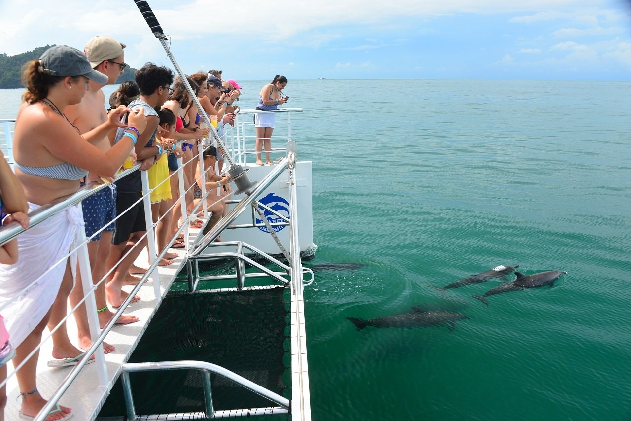 From Manuel Antonio: Catamaran Adventure including Lunch