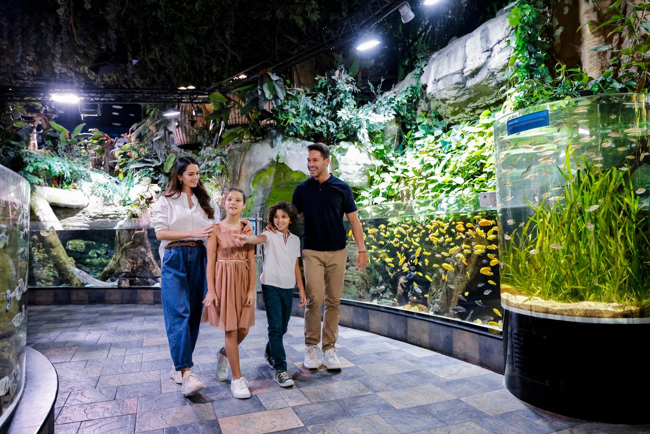 Dubai Aquarium & Underwater Zoo Exploration