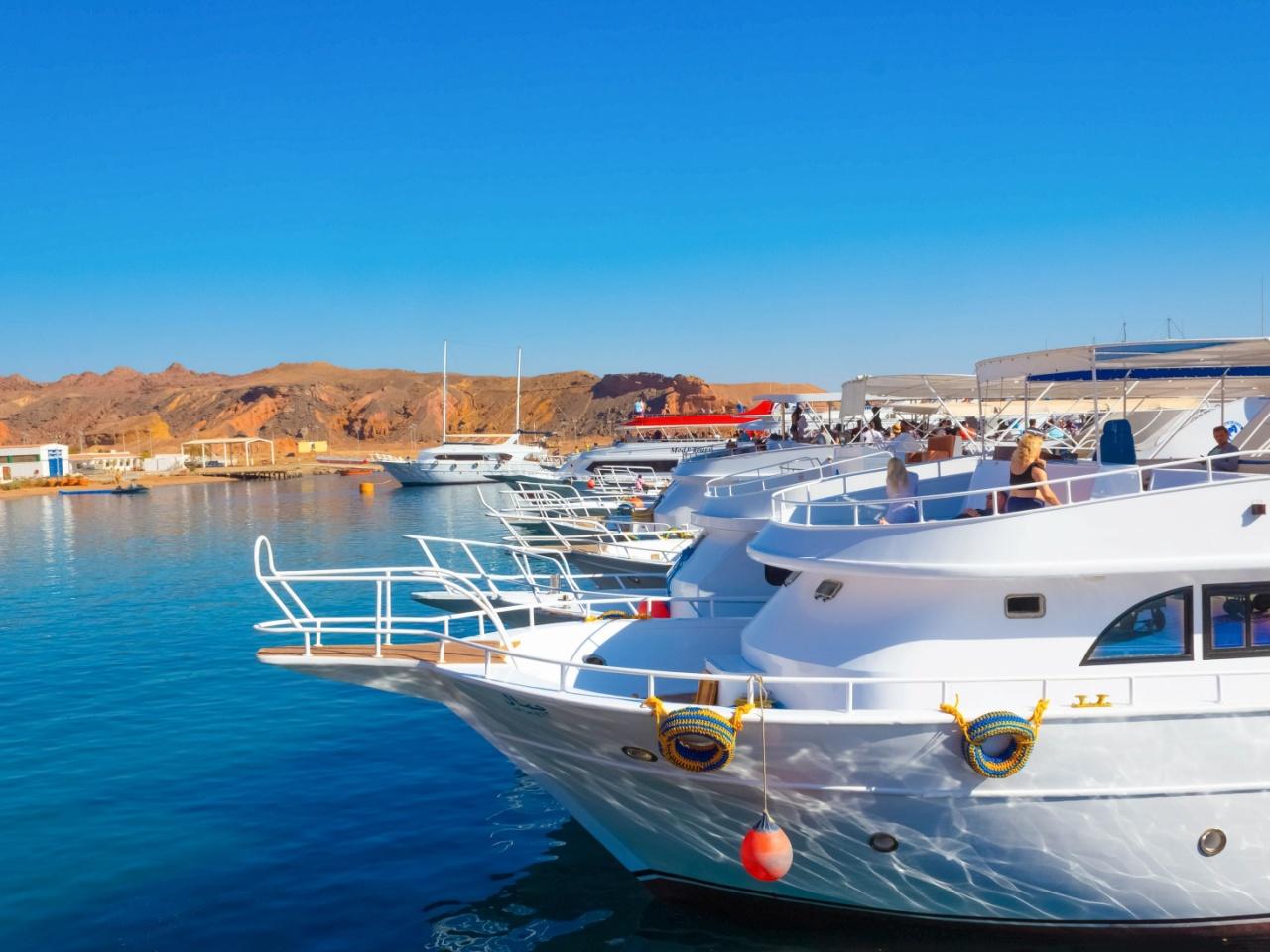 Ras Mohamed & White Island Full-Day Snorkel, Dive & Cruise from Sharm