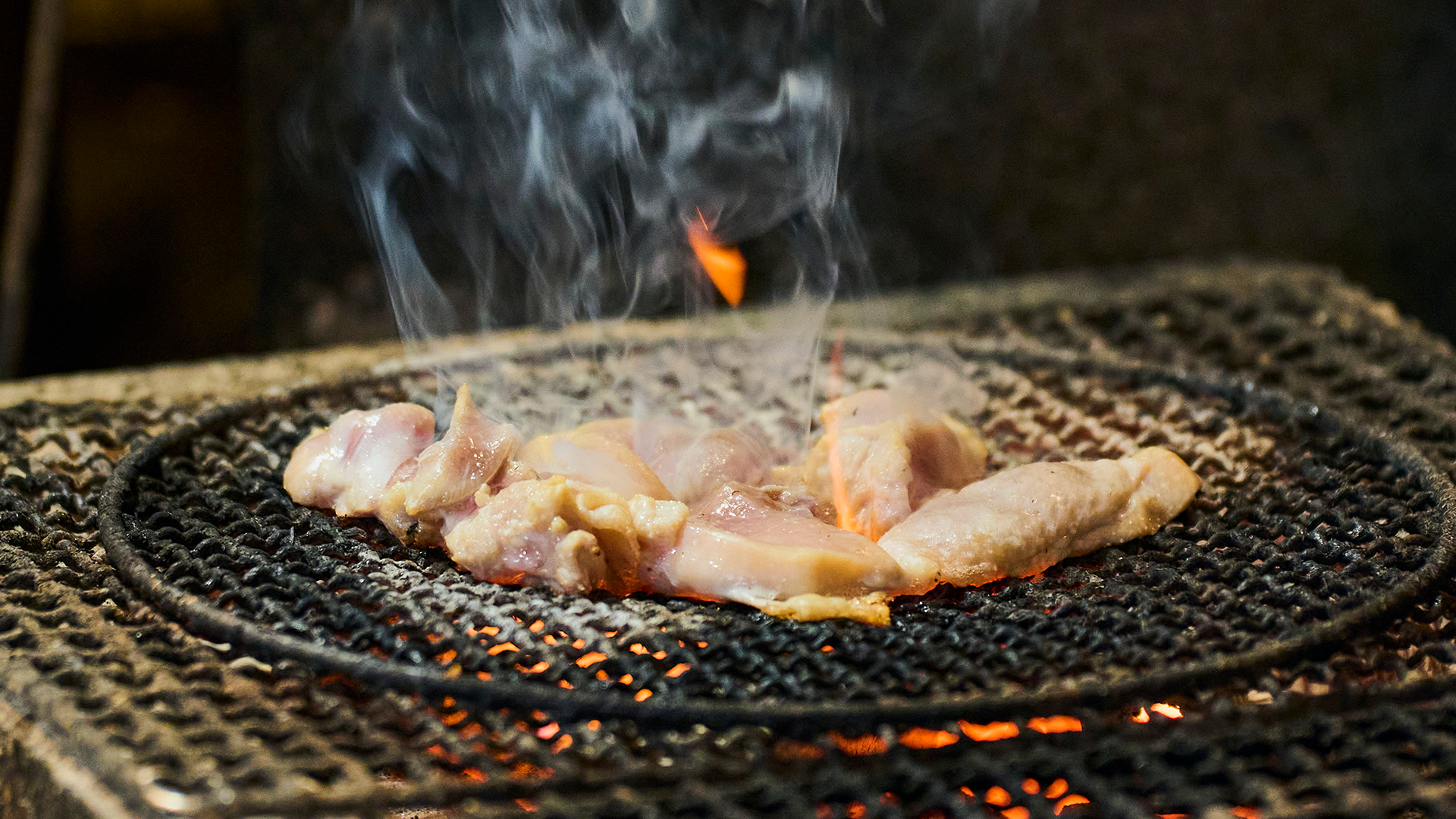 Osaka Guided Culinary Adventure: 12 Dishes & Local Sake Bars