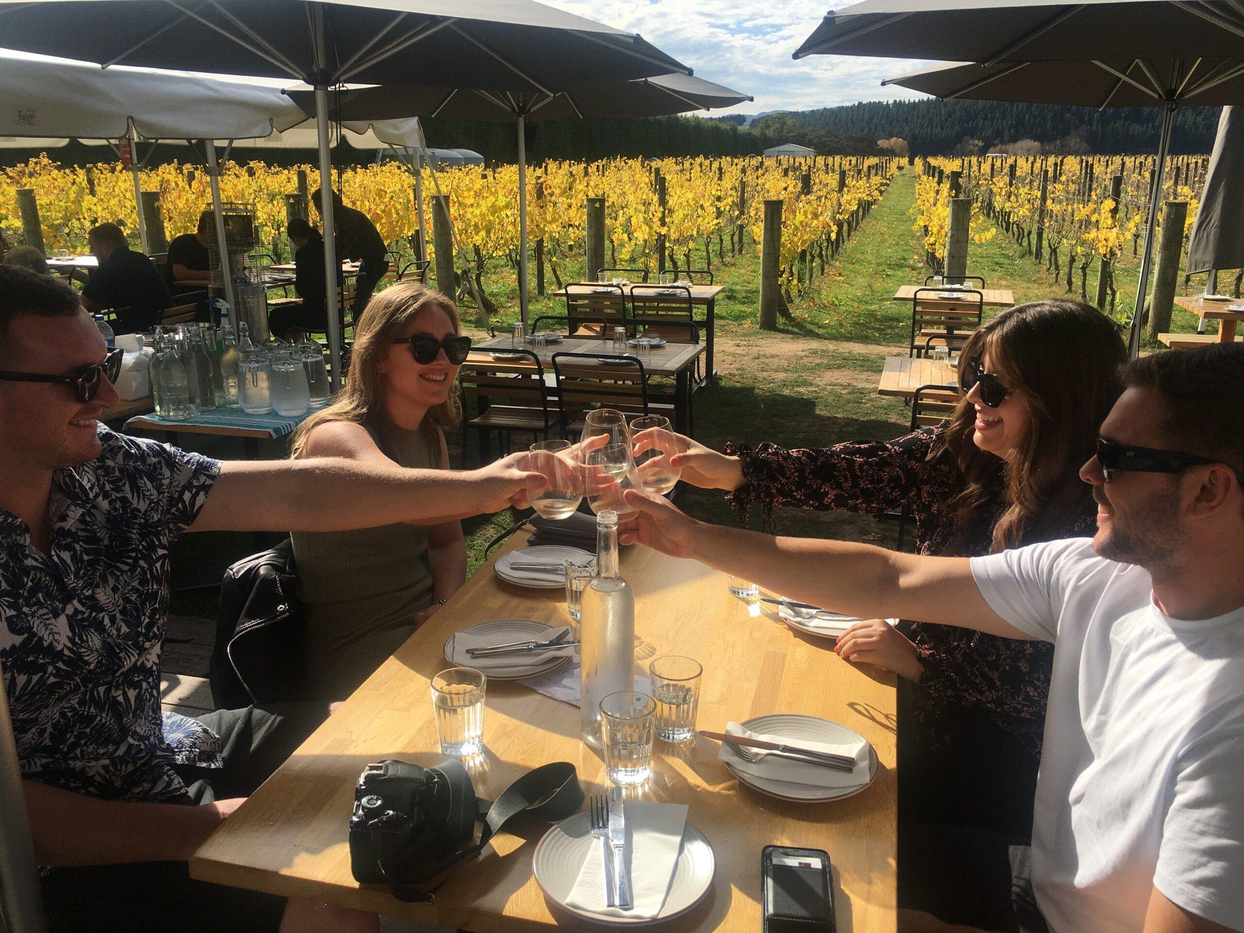 Martinborough Private Wine Tour from Wellington with Lunch